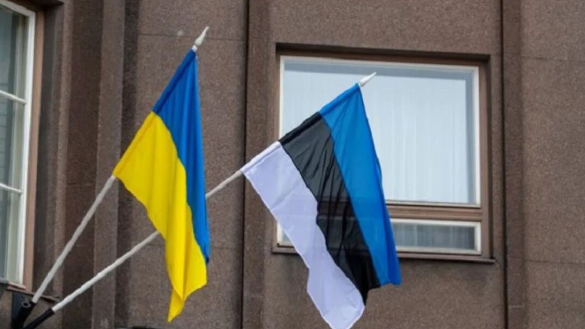Уряд Естонії розглядає можливість відправки своїх військ на захід України для тилового забезпечення ЗСУ