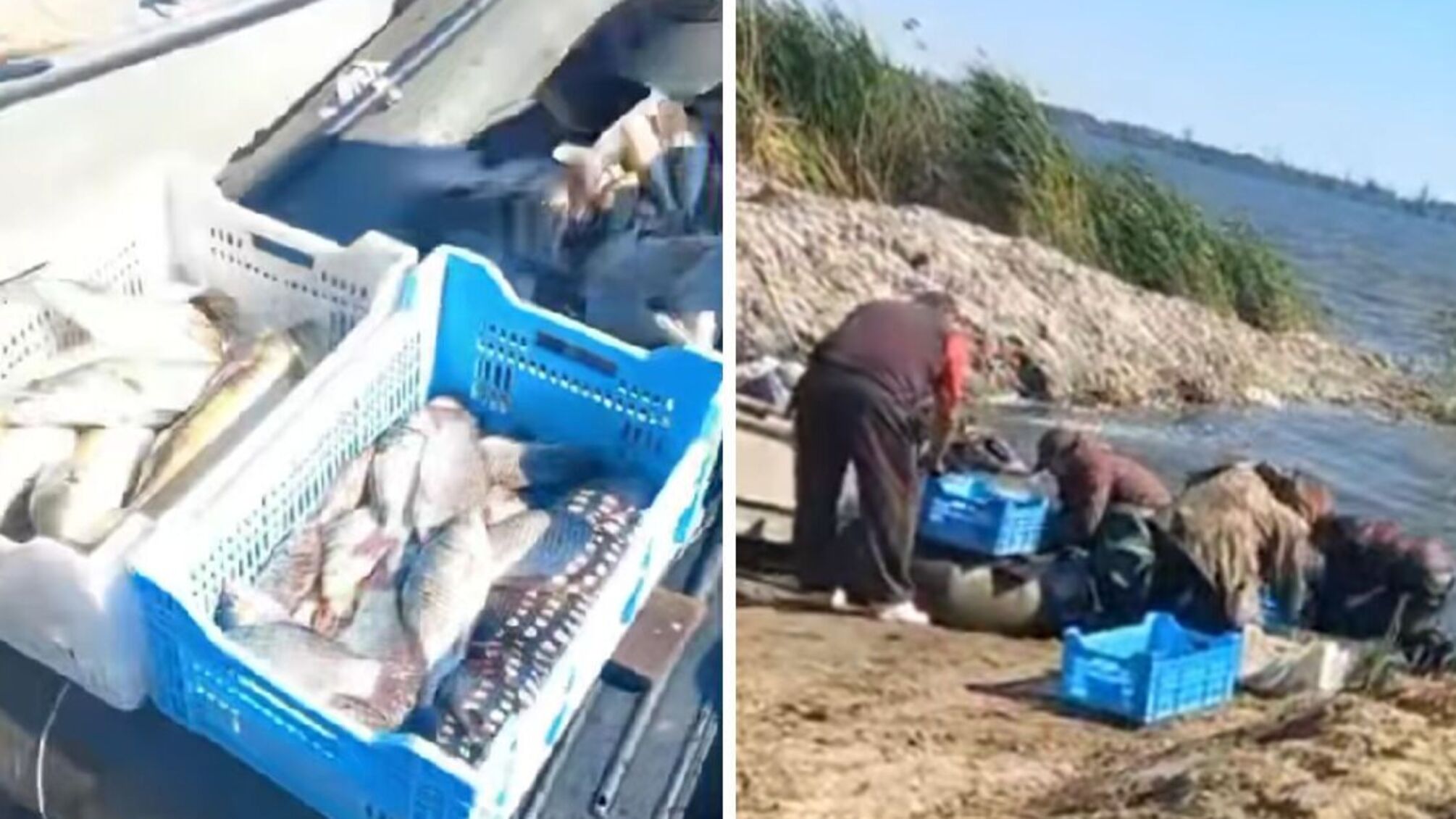 На Харківщині зупинили незаконний вилов риби під час нерестової заборони (ФОТО, ВІДЕО)