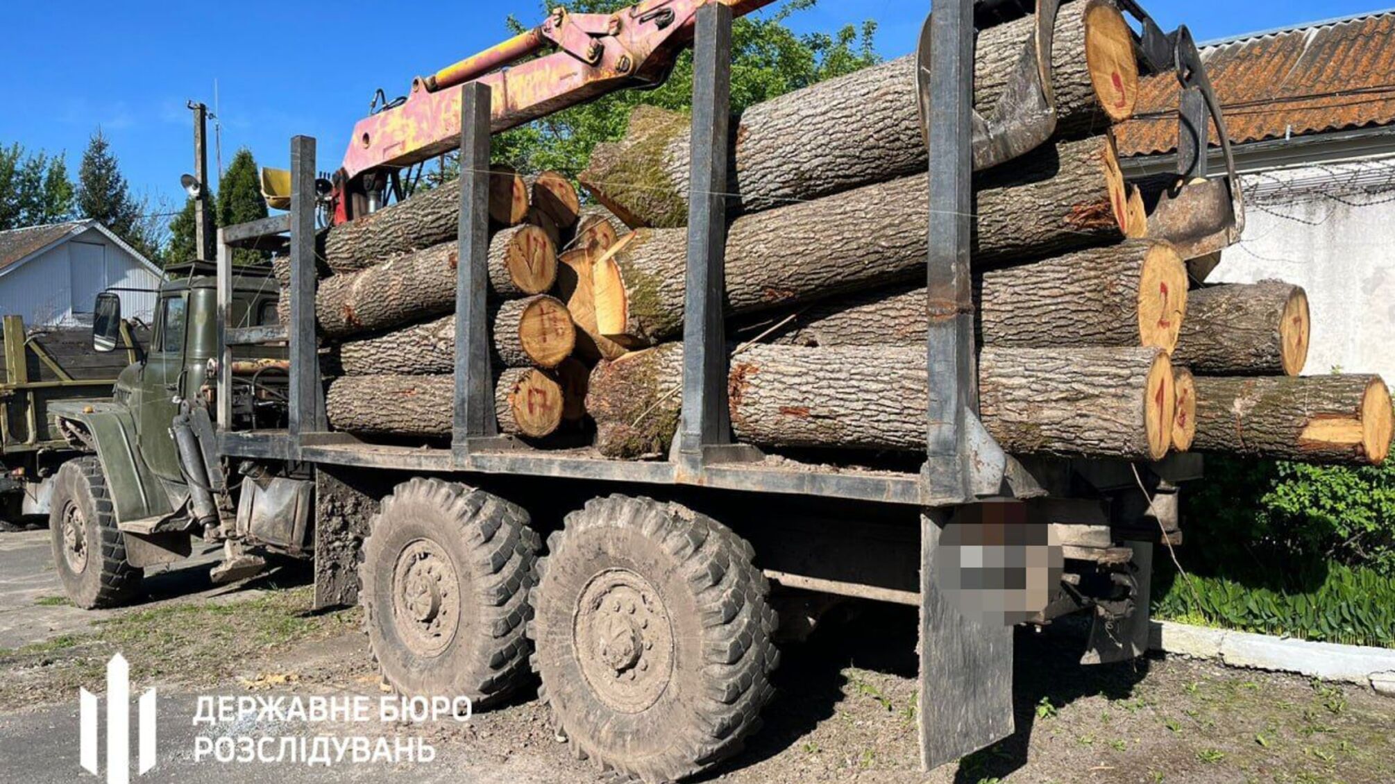 ДБР викрило незаконні рубки дерев у трьох областях