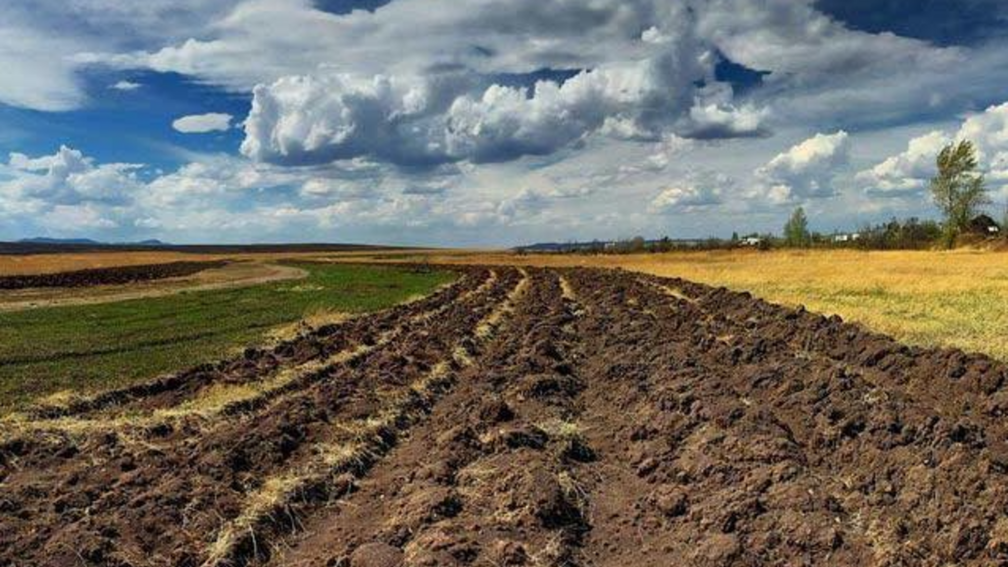 В Житомирской области раздерибаненные земли колхозов возвращают в собственность общин