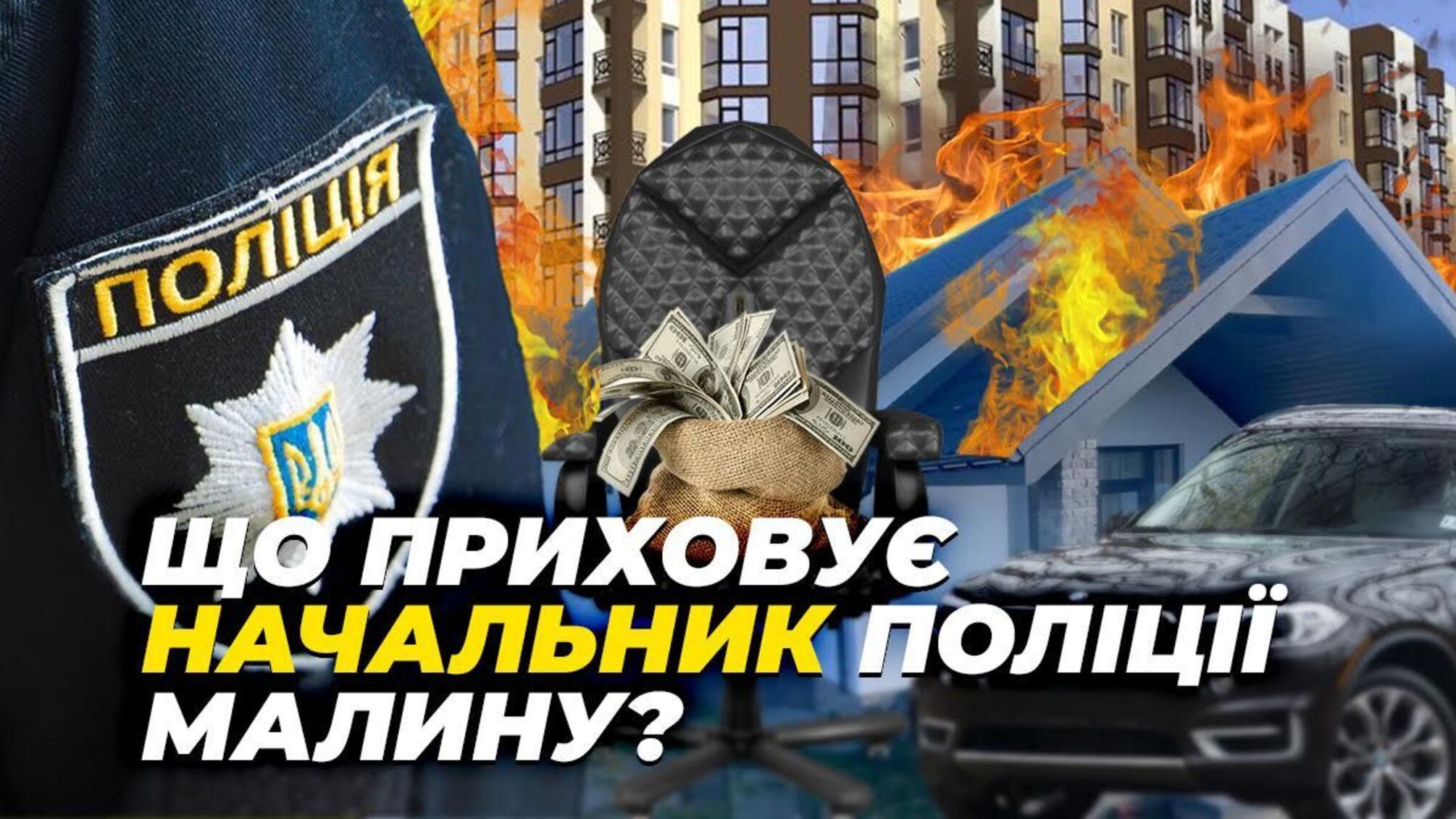 Що декларує головний 'коп' Малина Данилюк і яке походження статків?