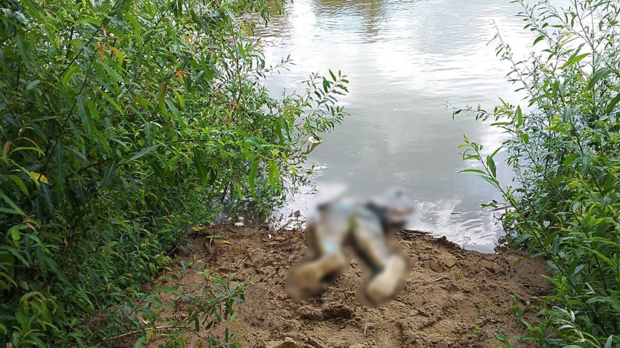 У річці Тиса знайшли тіло: особу загиблого ще встановлюють