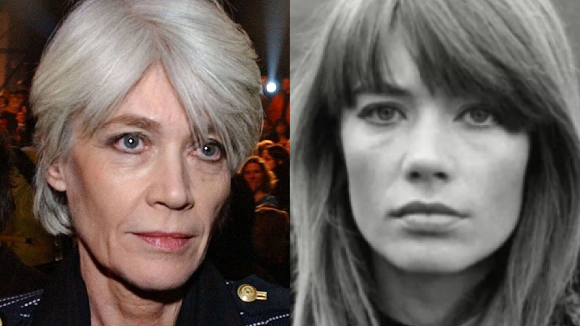 Умерла легендарная французская певица Франсуаза Арди