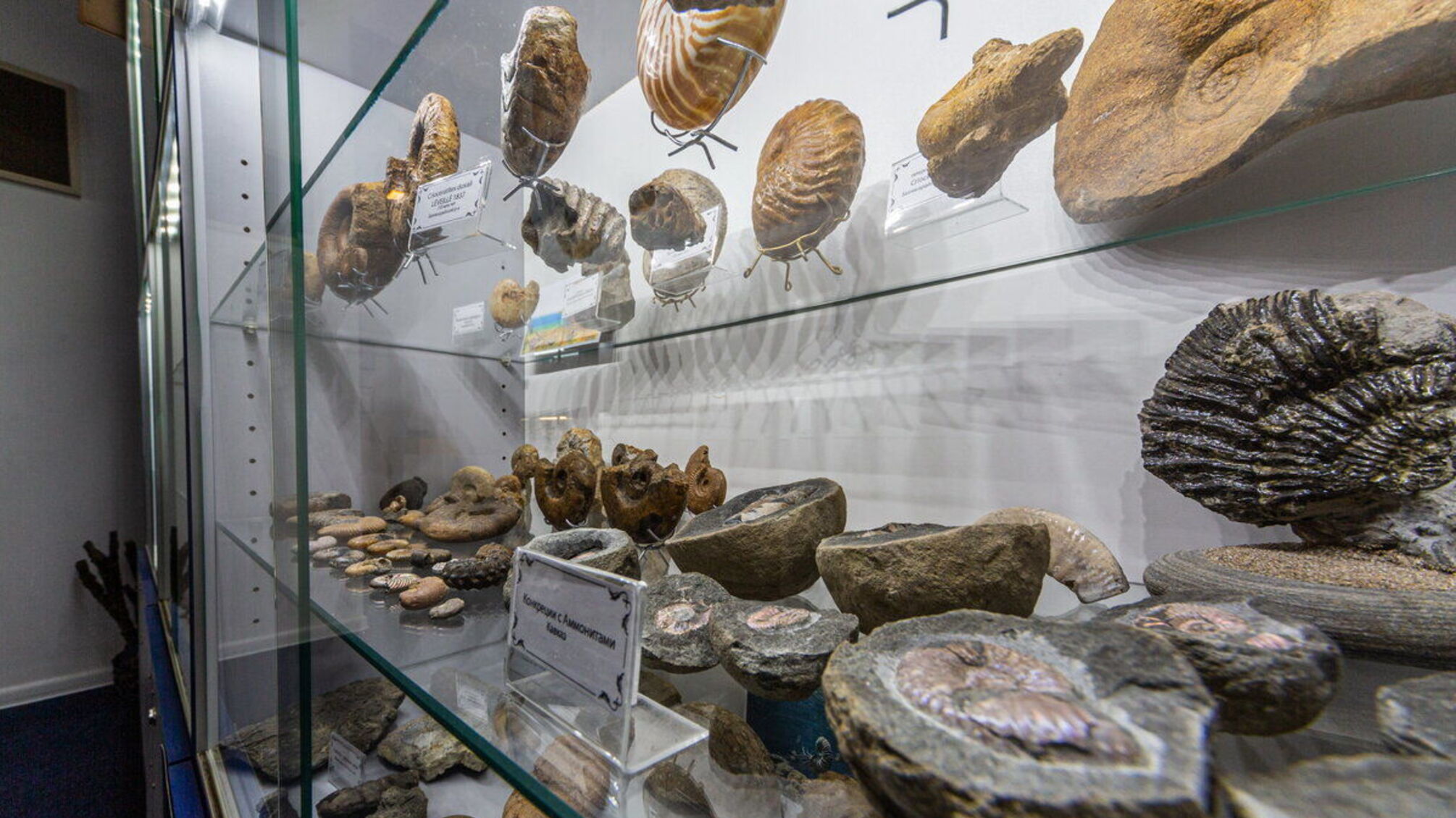 Українські музейні цінності під загрозою вивезення з Криму