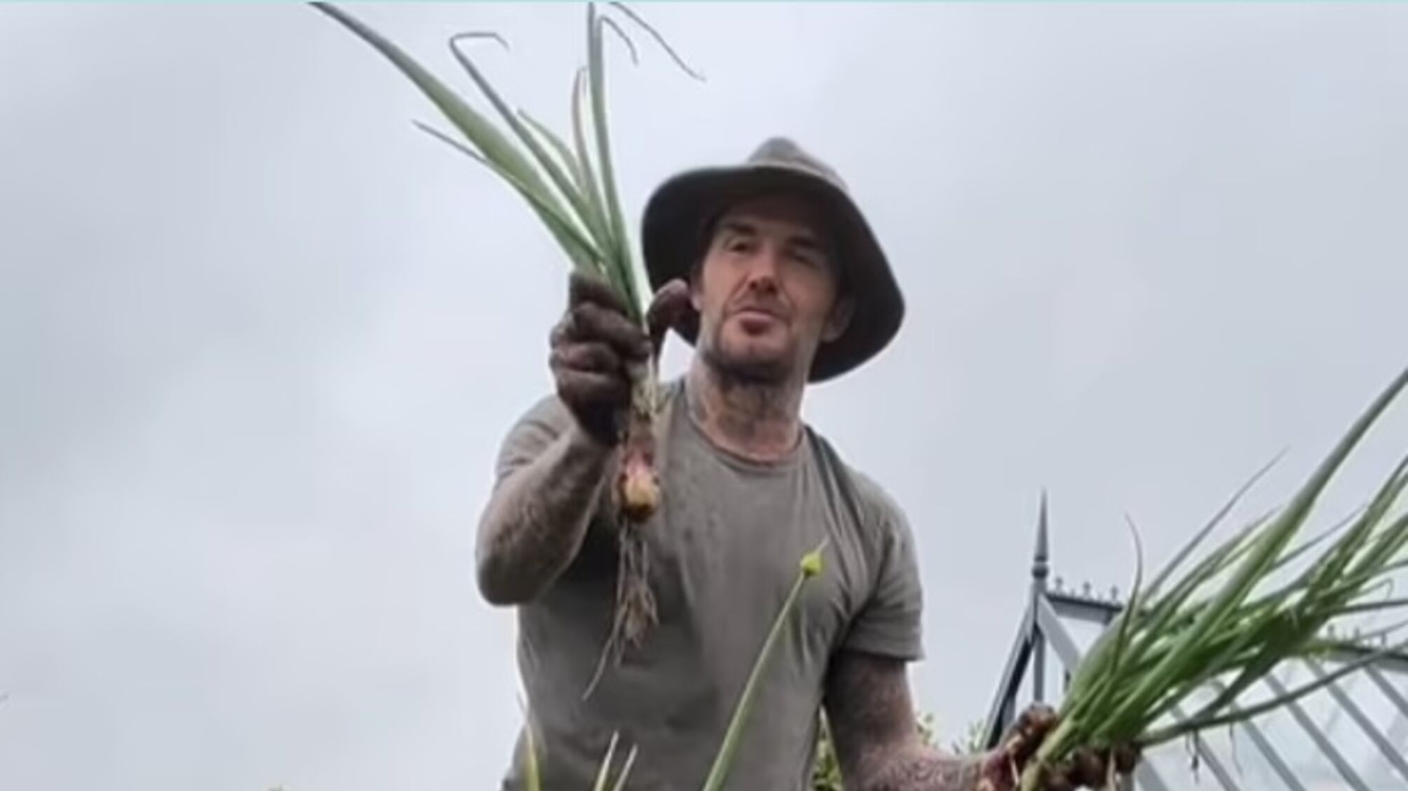 Дэвид Бекхэм стал настоящим огородником: он выращивает овощи и держит кур (фото, видео)