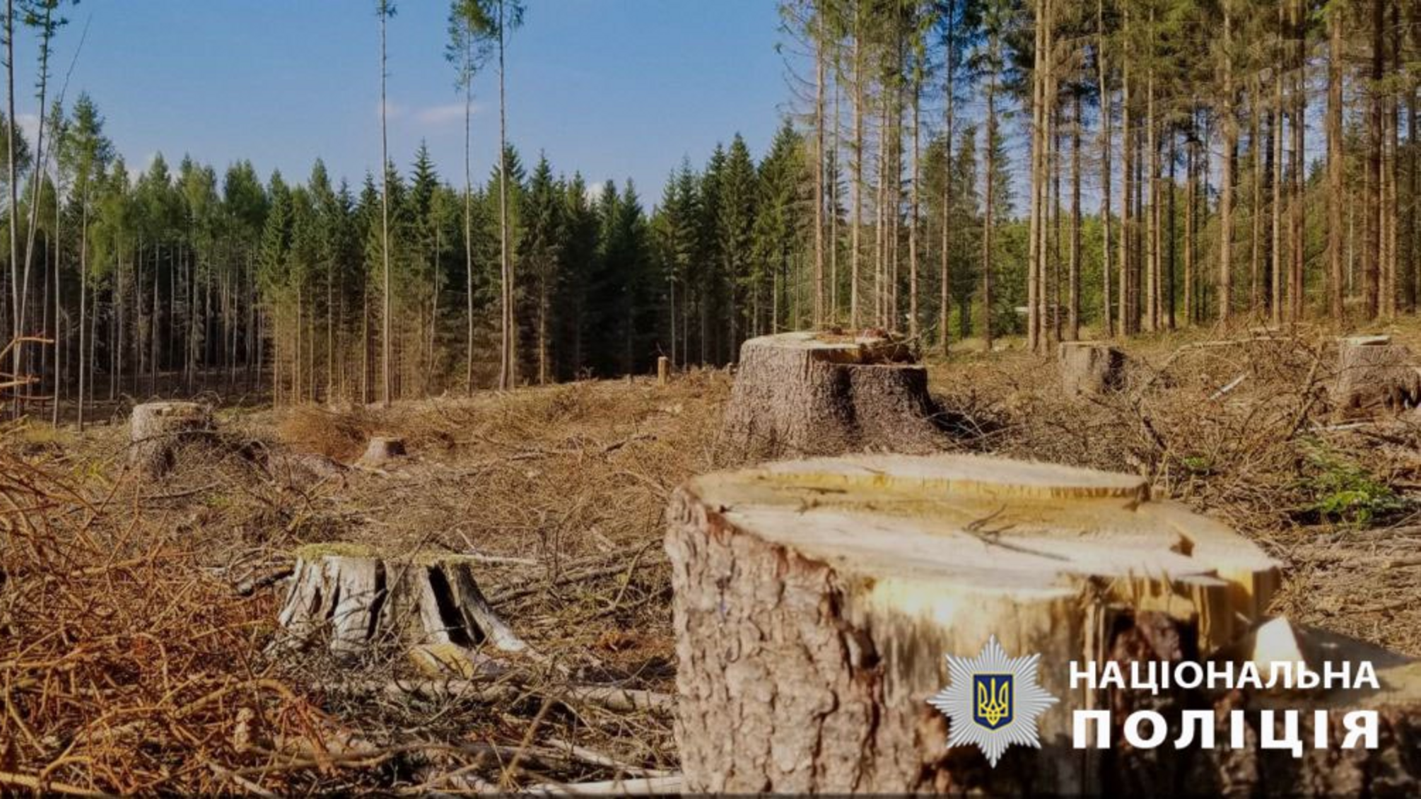 Службовці 'Північної пущі' привласнили 240 тис грн на ліквідації наслідків Чорнобиля, - поліція