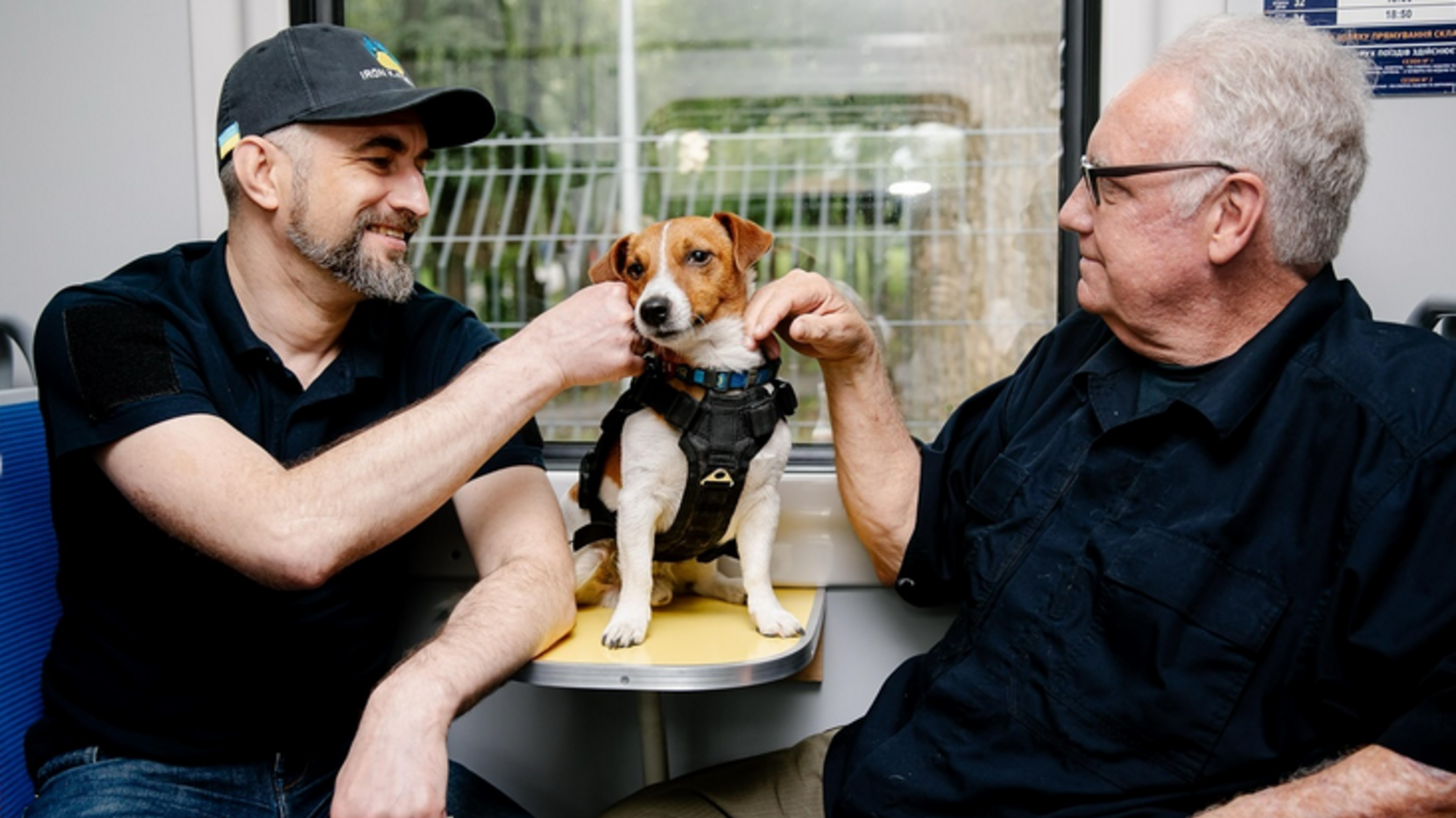 Пес Патрон рассказал о самом необычном путешествии по Укрзализныце