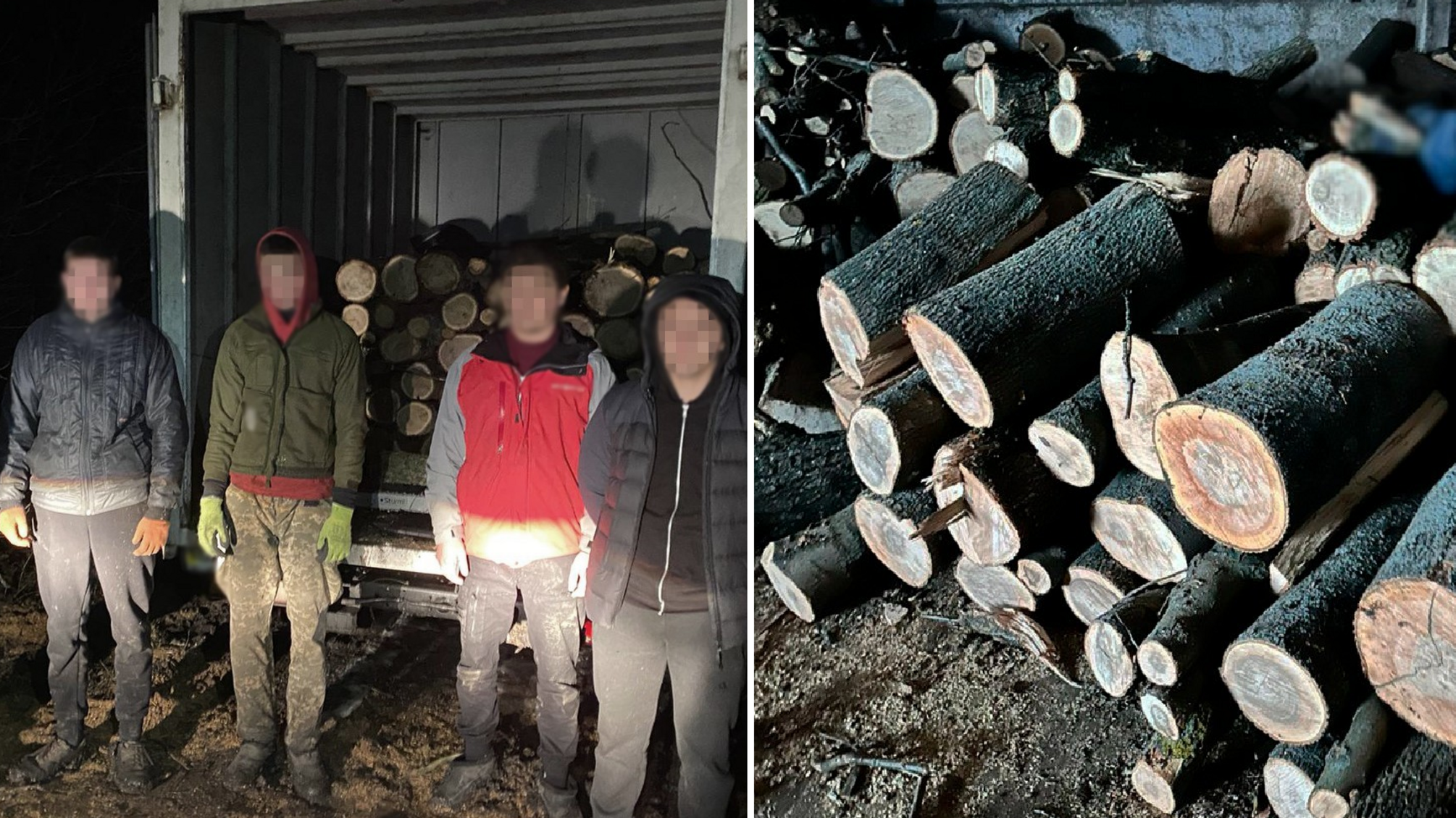 Незаконная вырубка деревьев