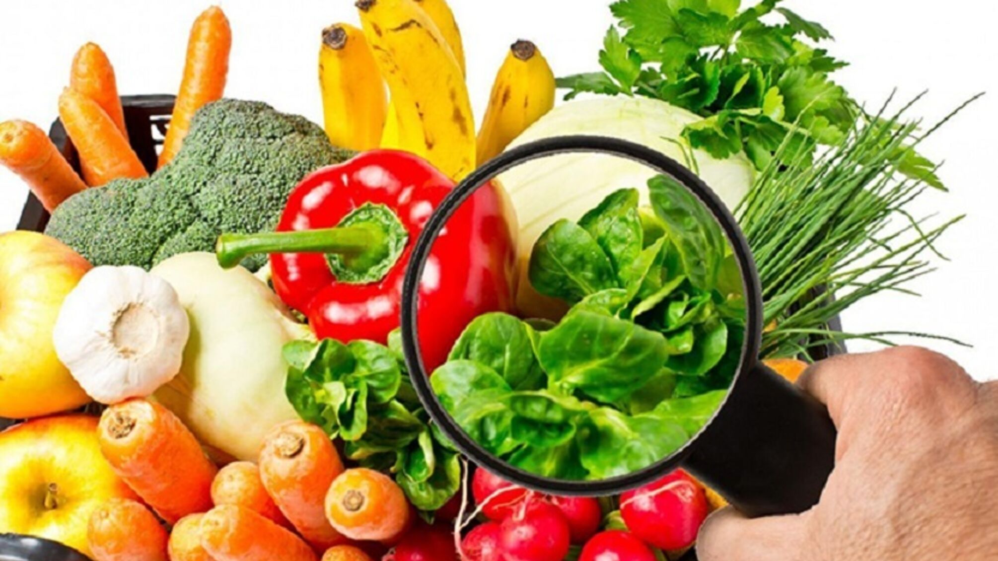 Почему продовольственная безопасность важна: празднуем 7 июня