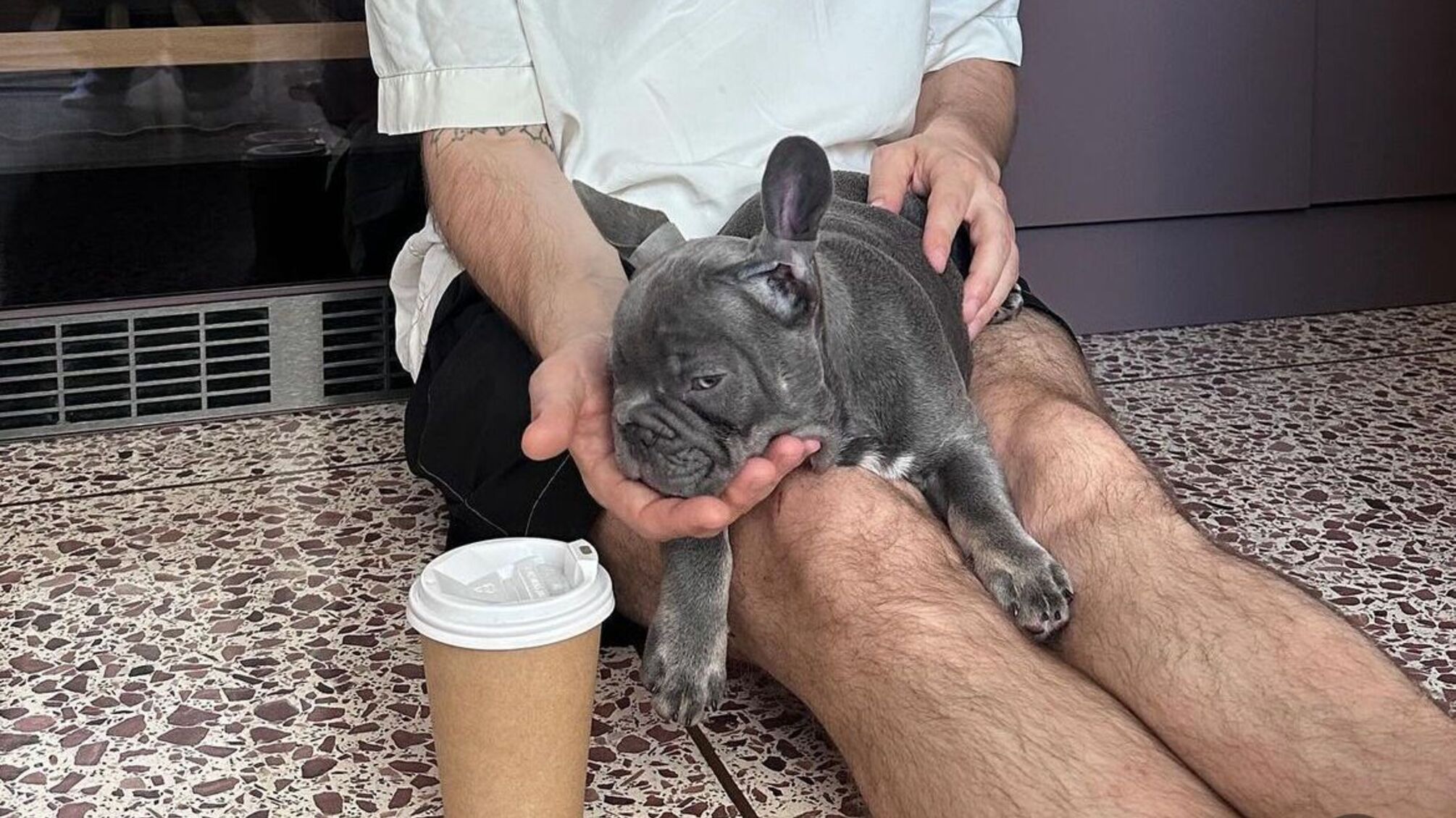 Любовь с первого взгляда: Алан Бадоев завел себе друга