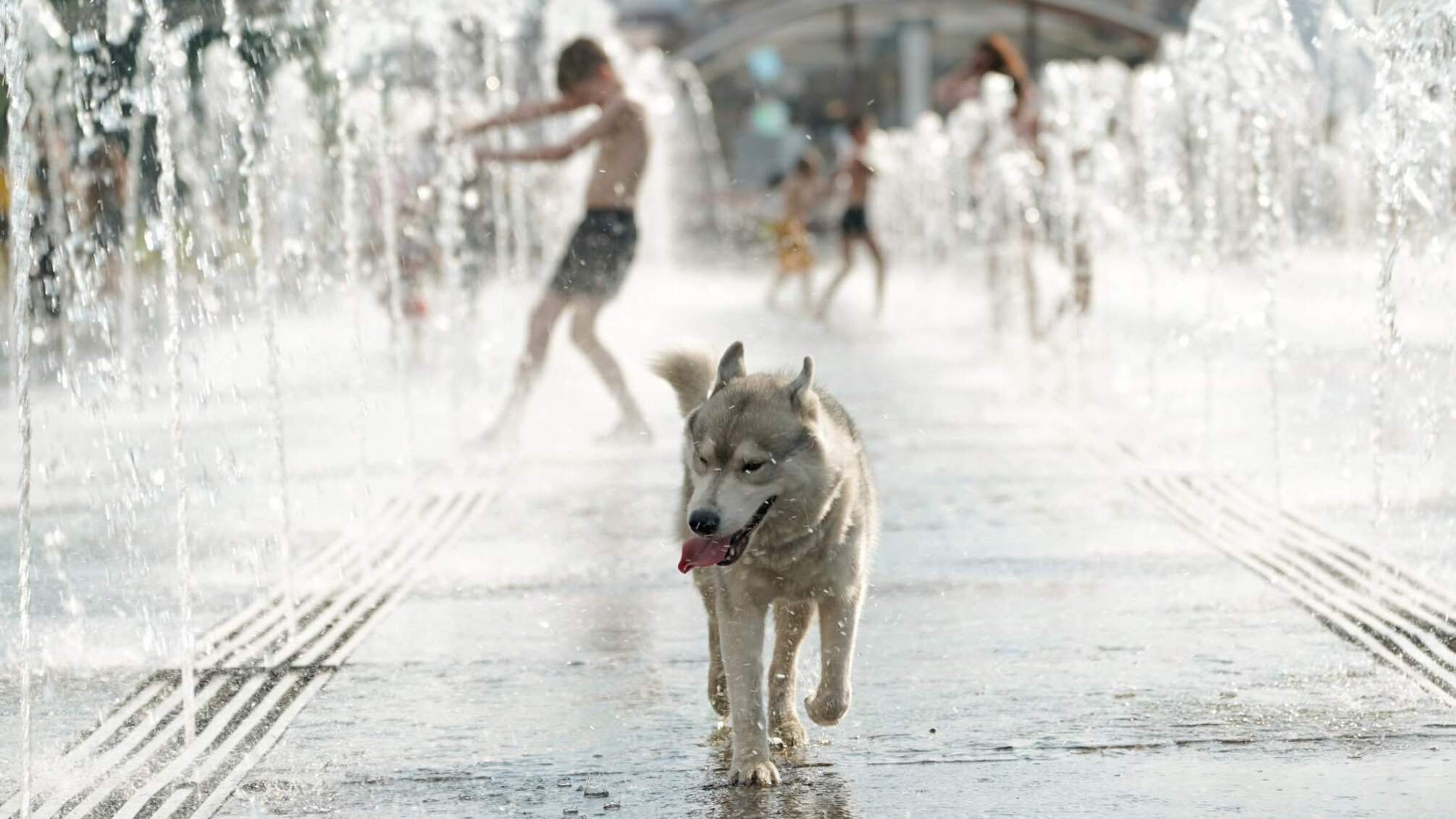 В Україні температура підскочить до +30 градусів - синоптик назвав дату