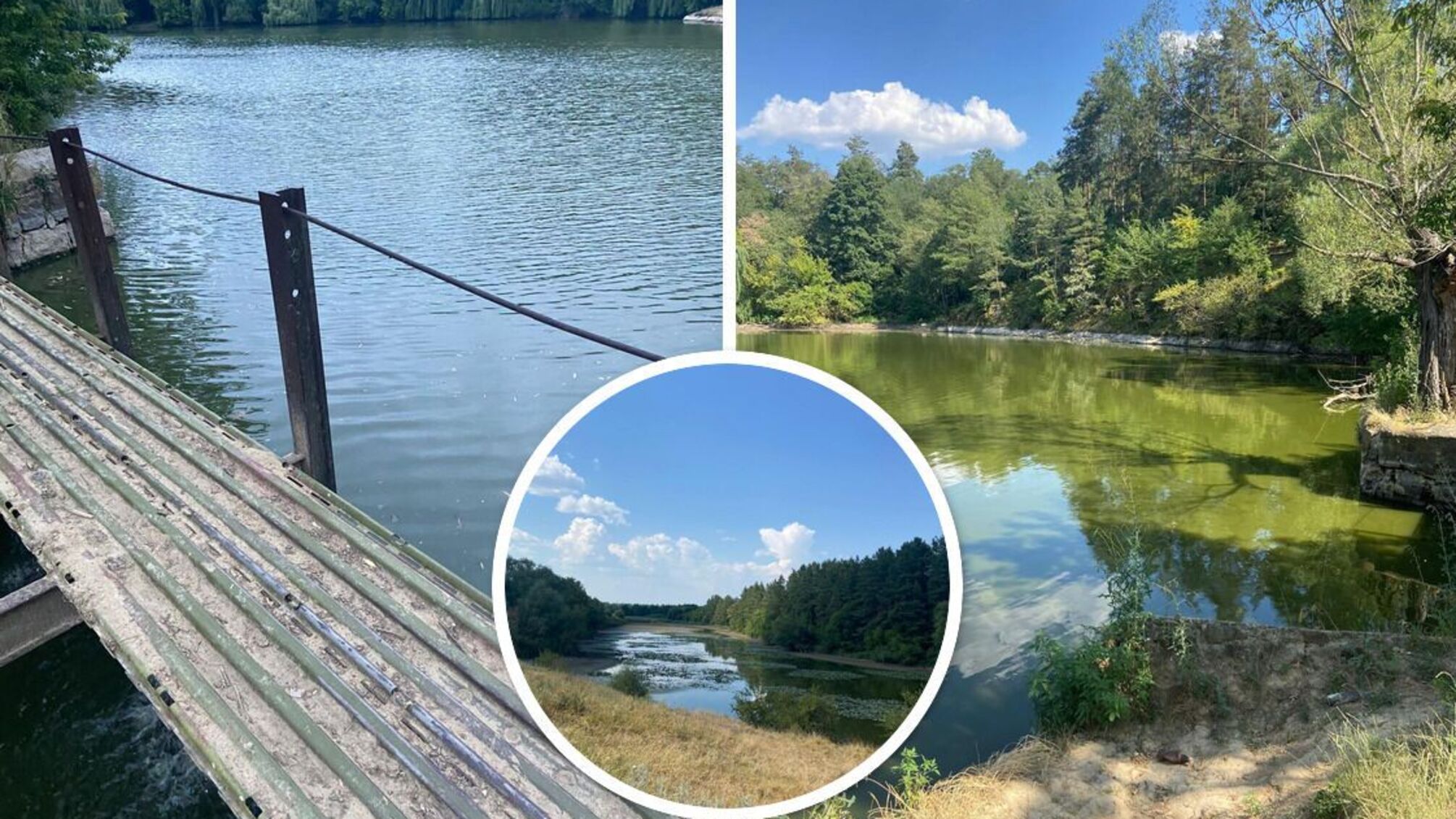 В 'Ільківському Ставі' екологічне лихо - можуть зникнути унікальні види