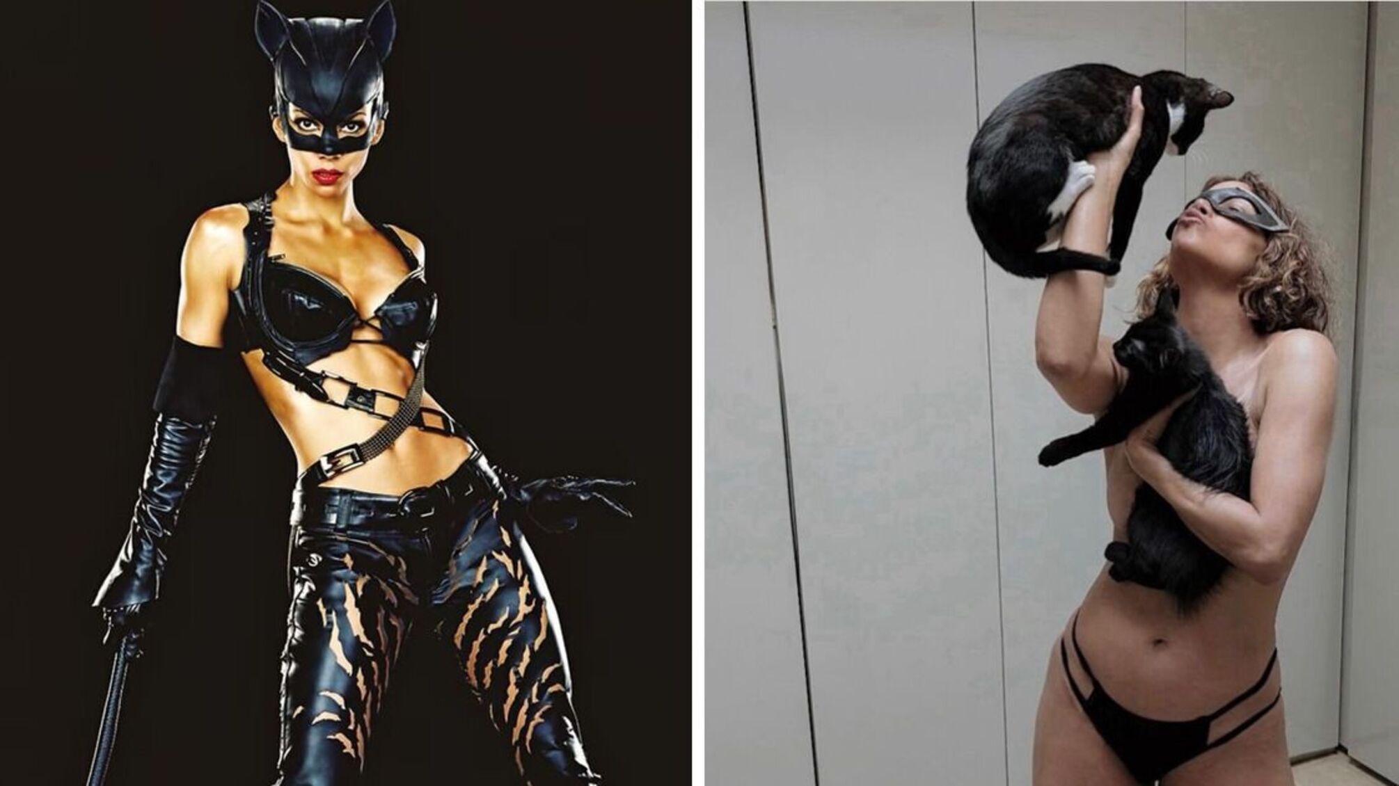 Холлі Беррі поділилась спогадами про роль та допомогу в порятунку кошенят