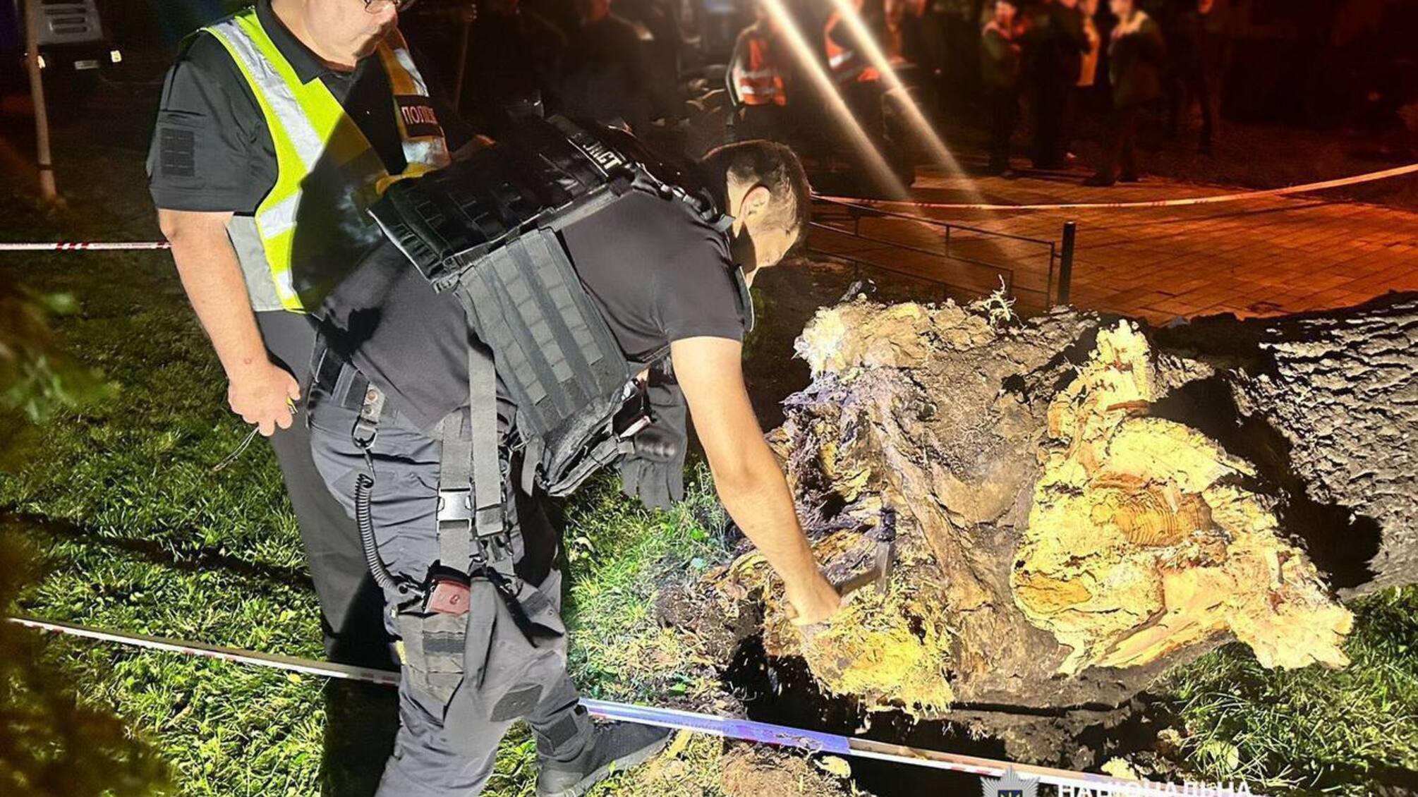 В результате падения дерева в столичном парке Шевченко погиб человек