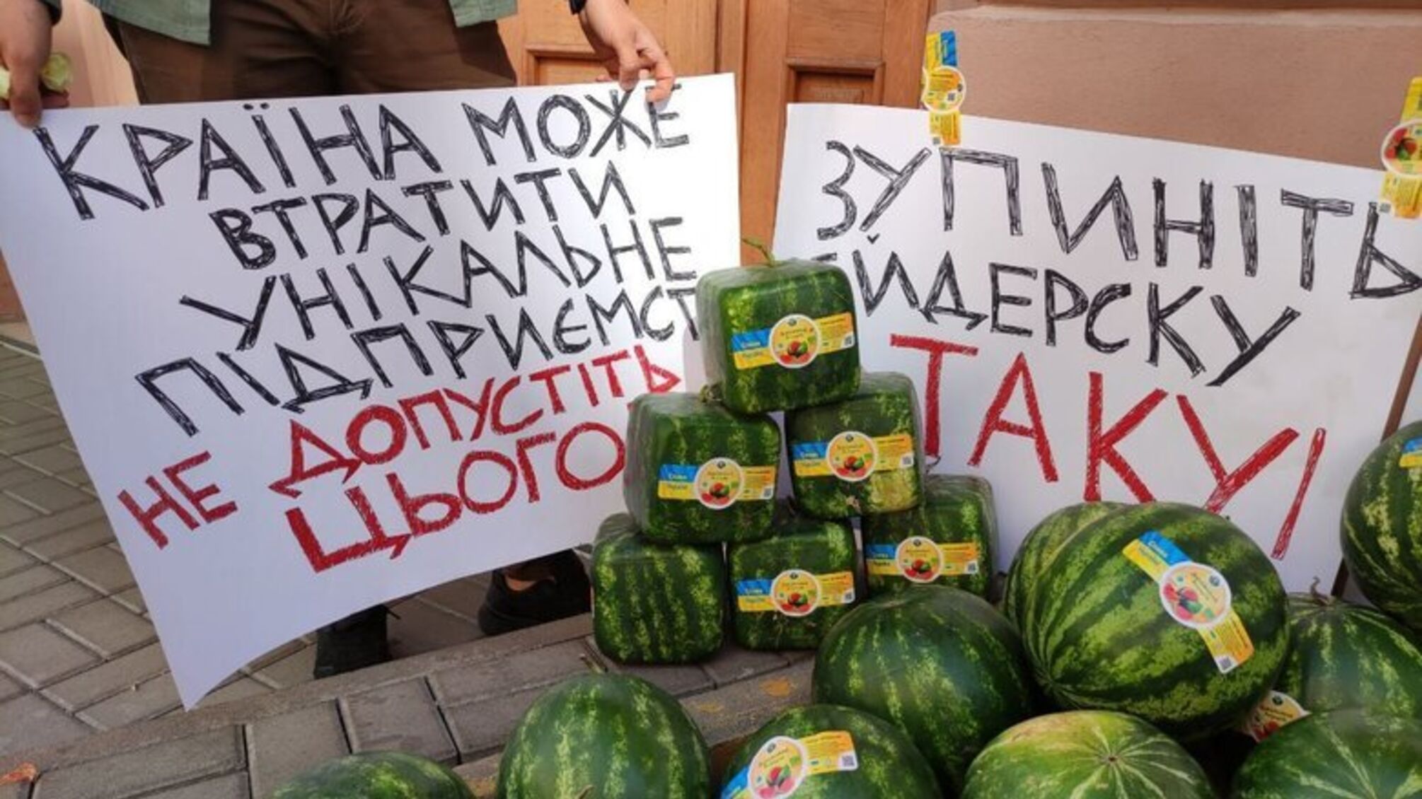 'Дунайский аграрий' под угрозой: мирный пикет в Киеве