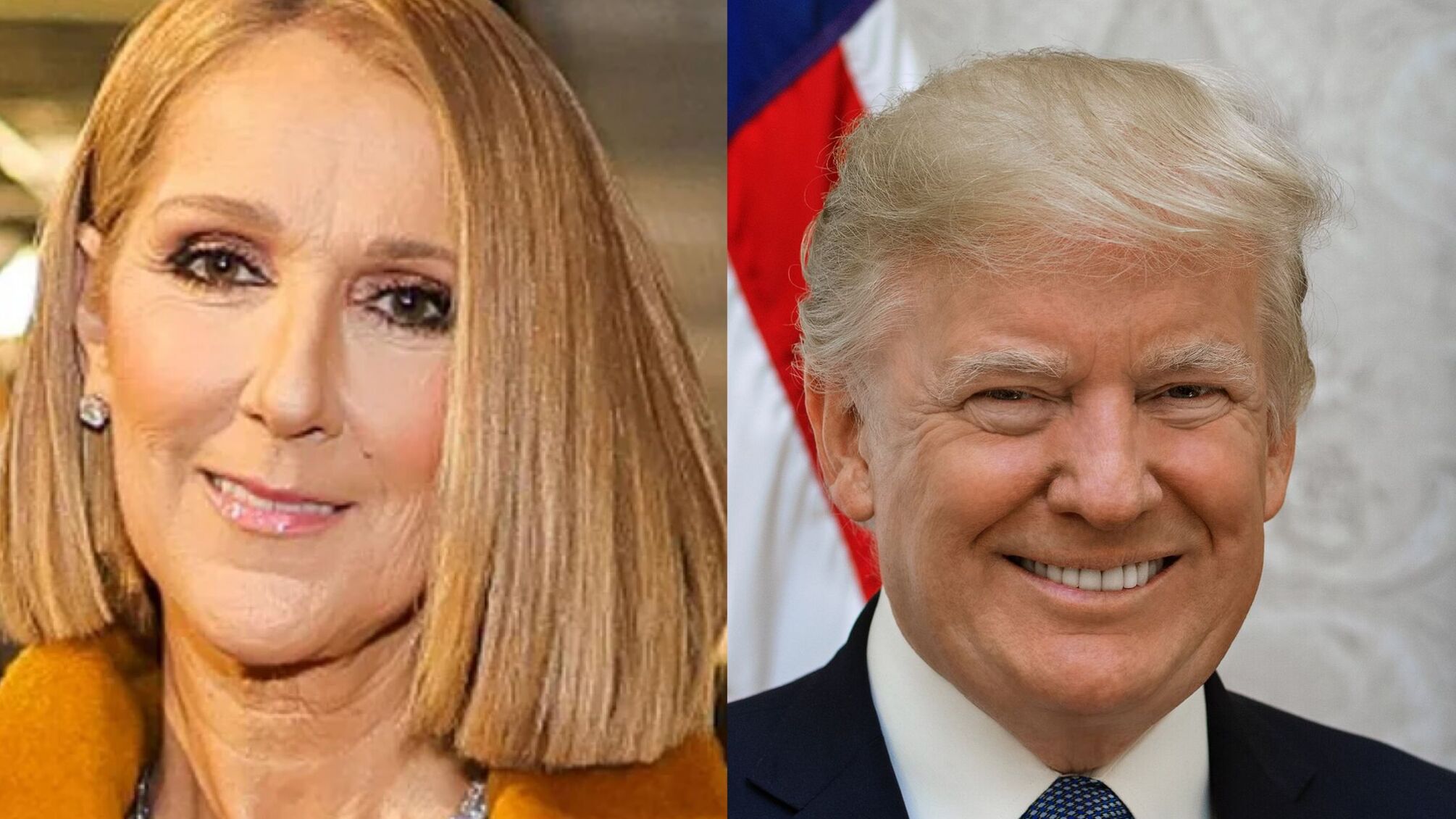 Селин Дион обвинила Дональда Трампа в использовании ее хита в предвыборной кампании без разрешения