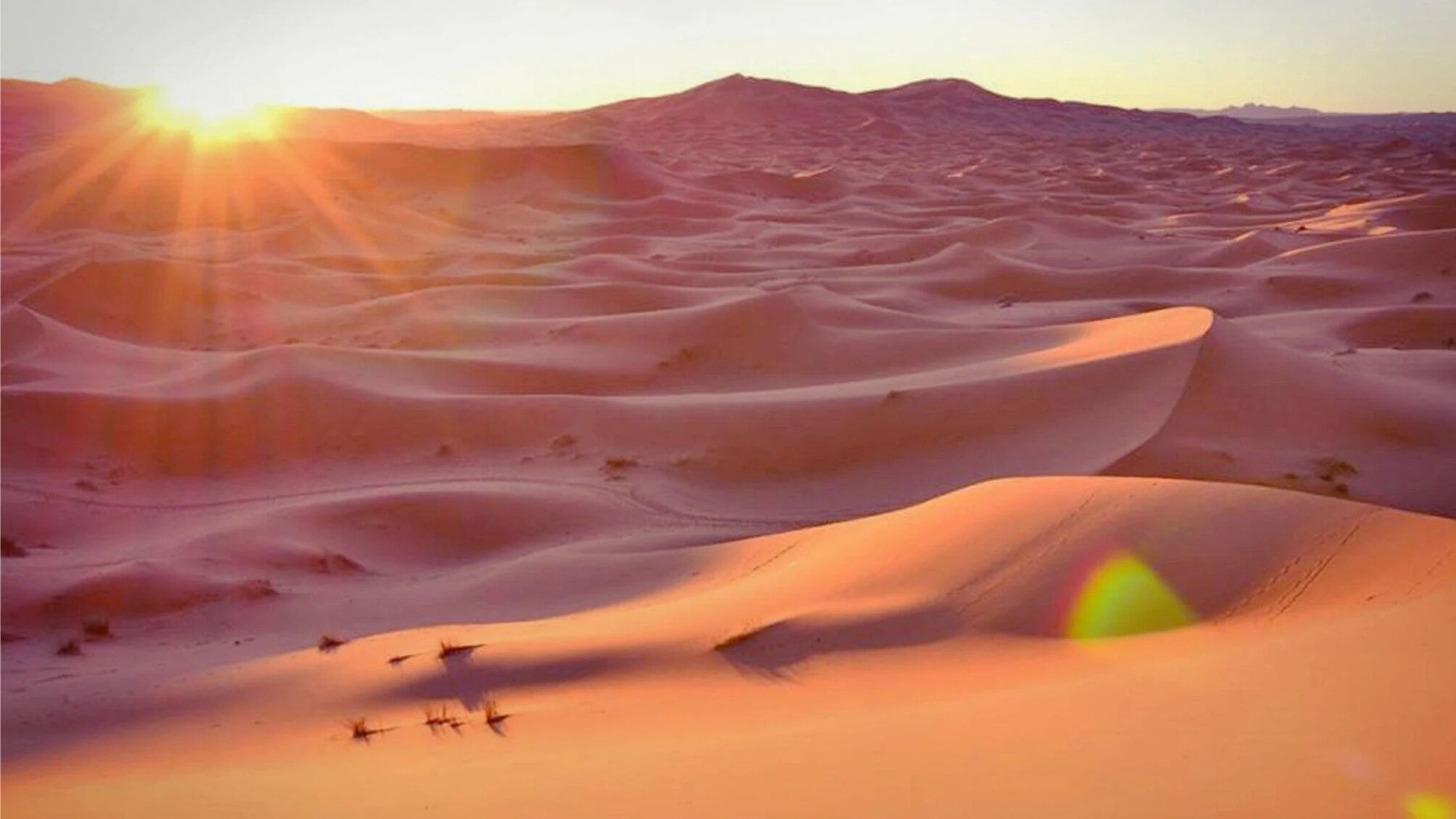 Сахара: як зелений оазис став пустелею – таємниця, яку розкрили вчені