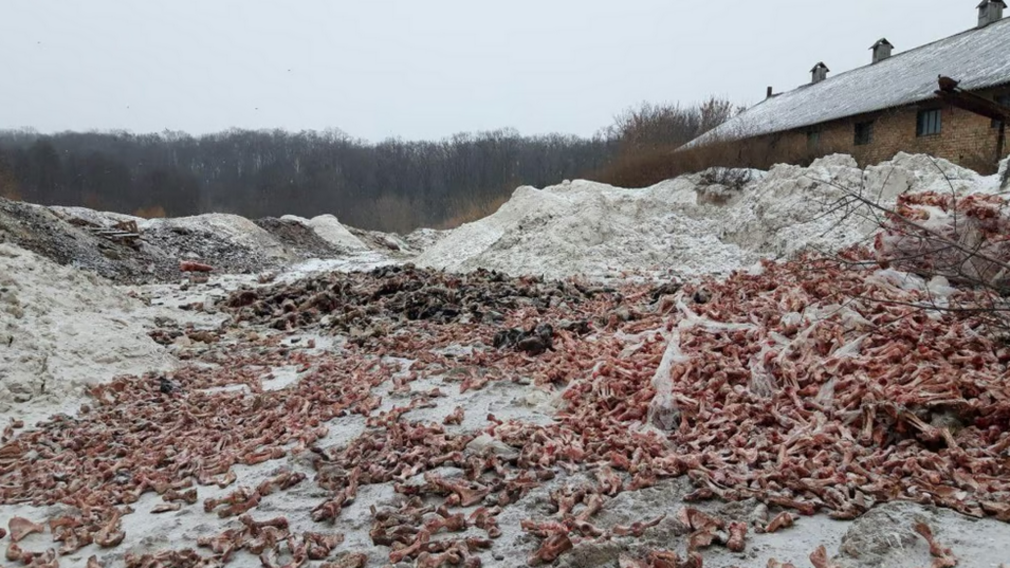 На Київщині підприємство забруднило землі небезпечними відходами — справу розгляне суд