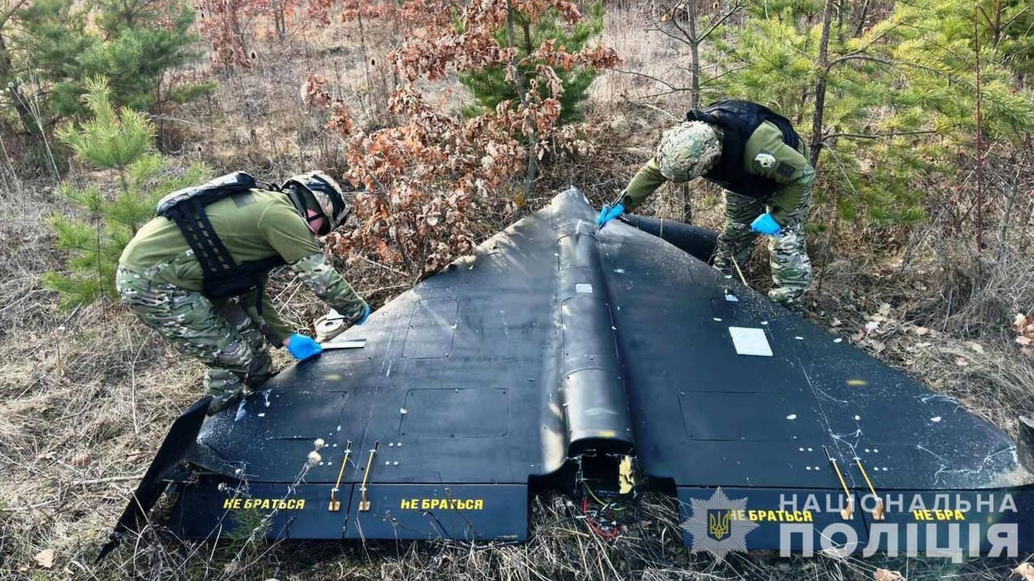 Безпілотний апарат іранського виробництва