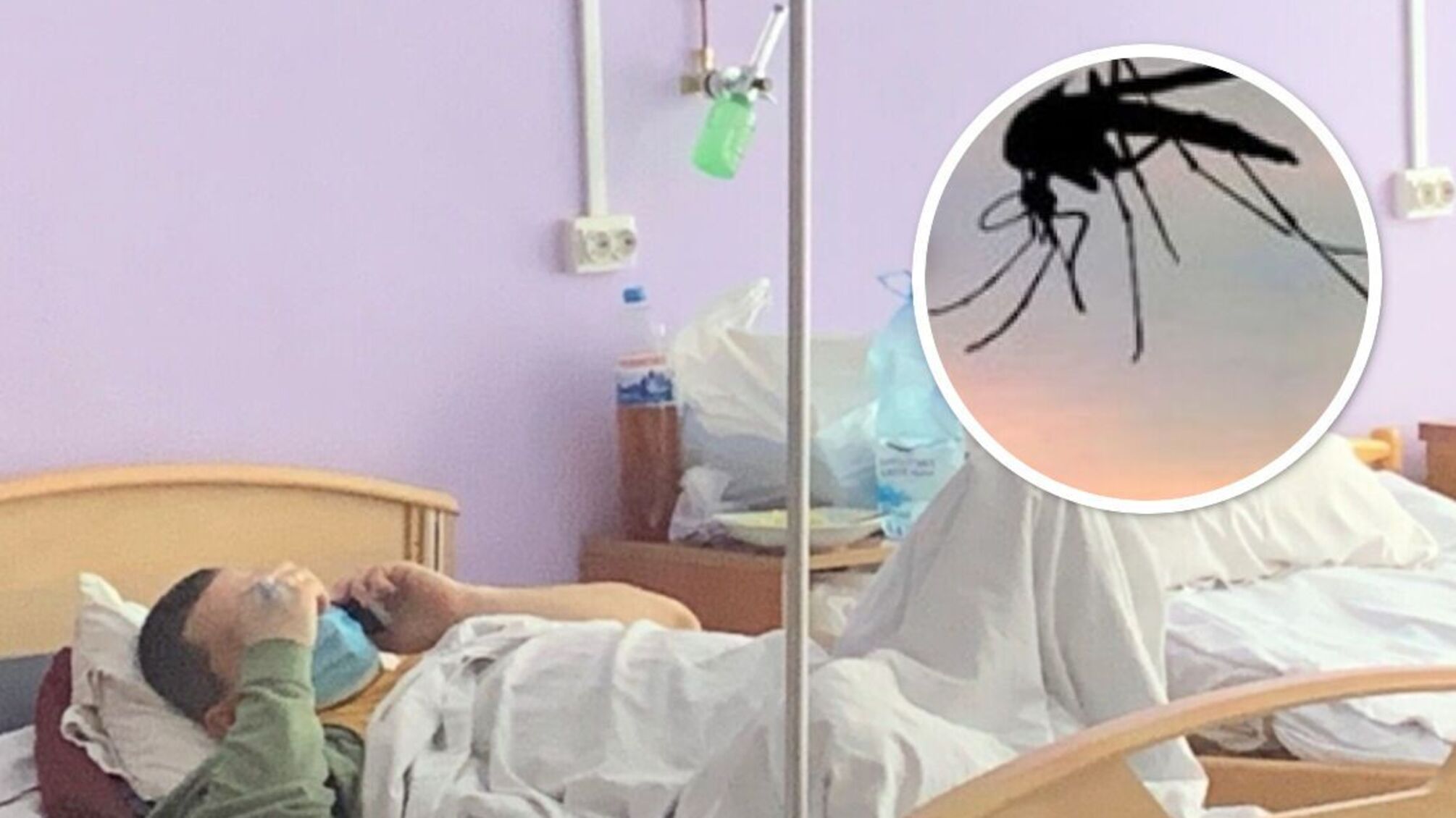 Киевская клиника сообщает о вспышке лихорадки Западного Нила