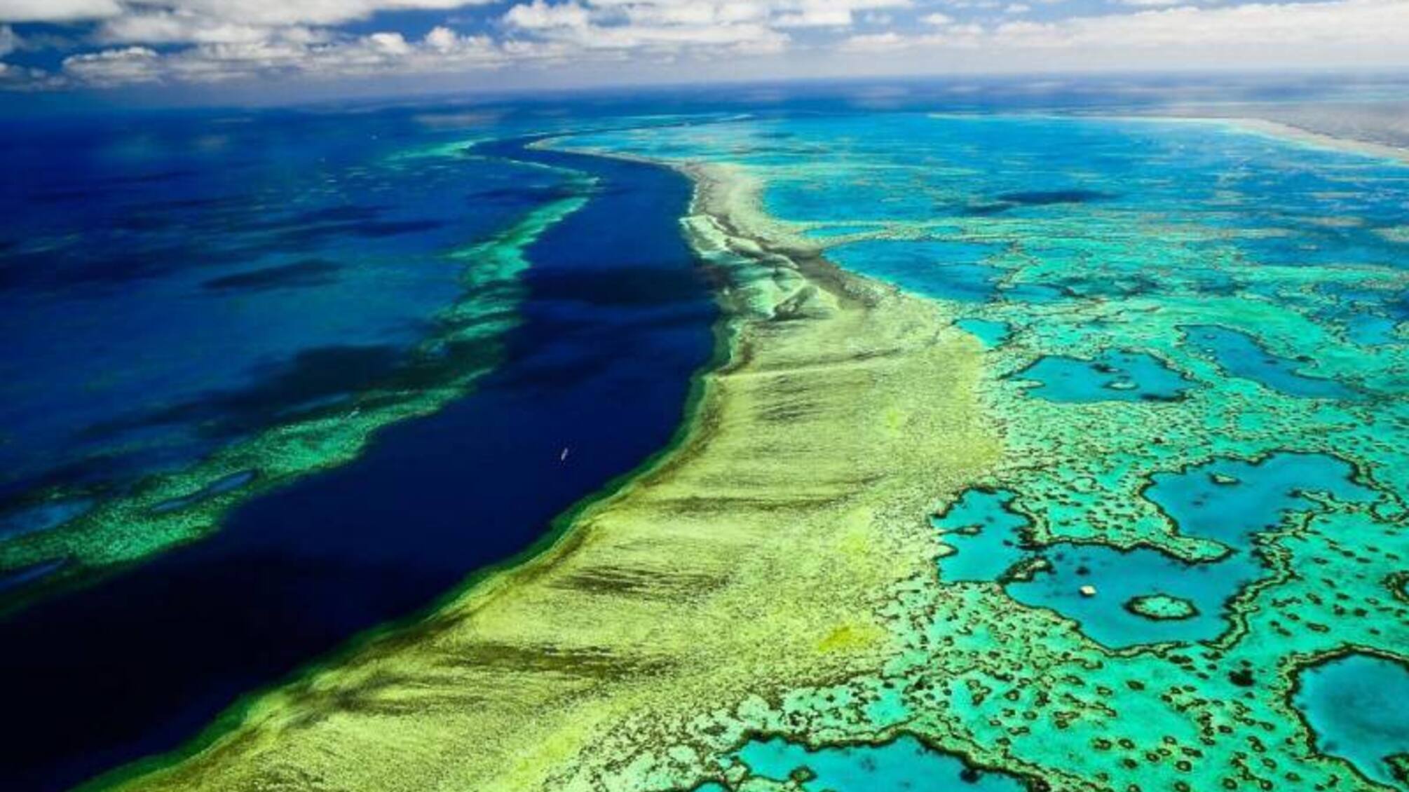 Исследование: температура океана у Большого Барьерного рифа самая высокая за последние 400 лет. Почему это небезопасно?