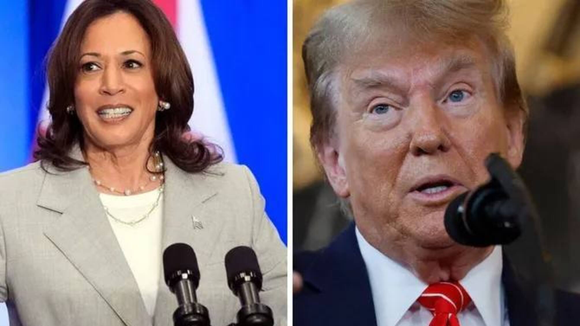 Reuters: Гаррис увеличила отрыв от Трампа в президентской гонке