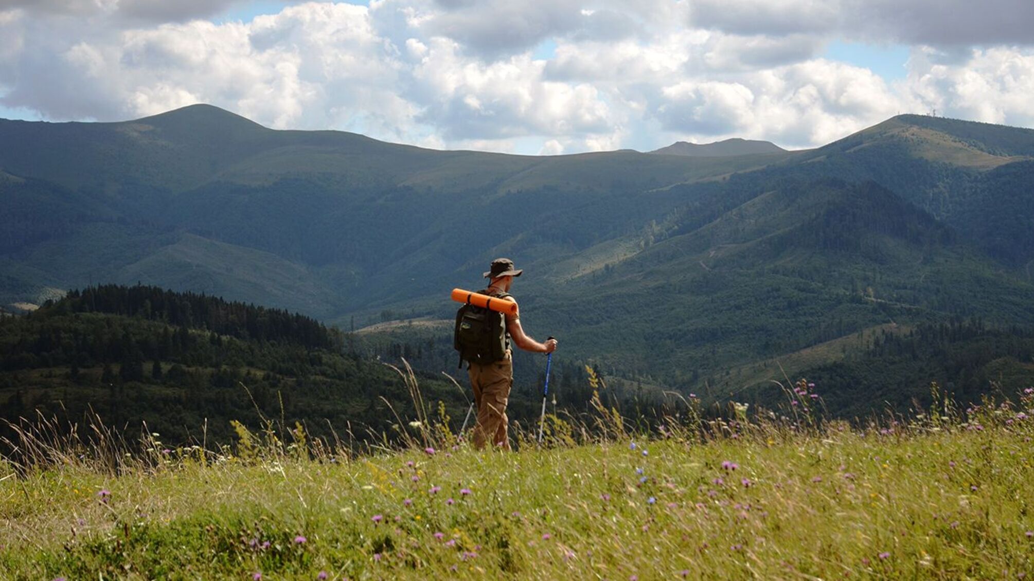 Піші прогулянки продовжують біологічну молодість