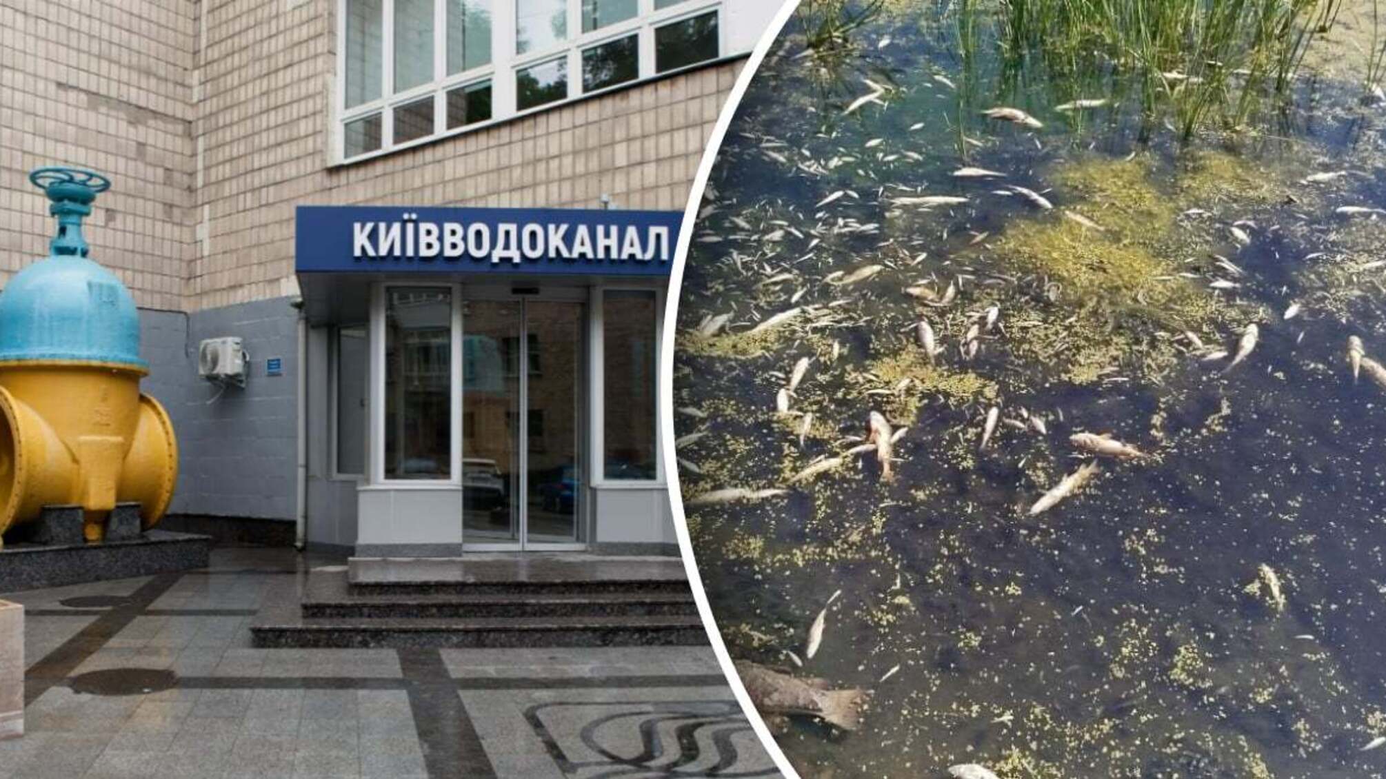 Загрязнение