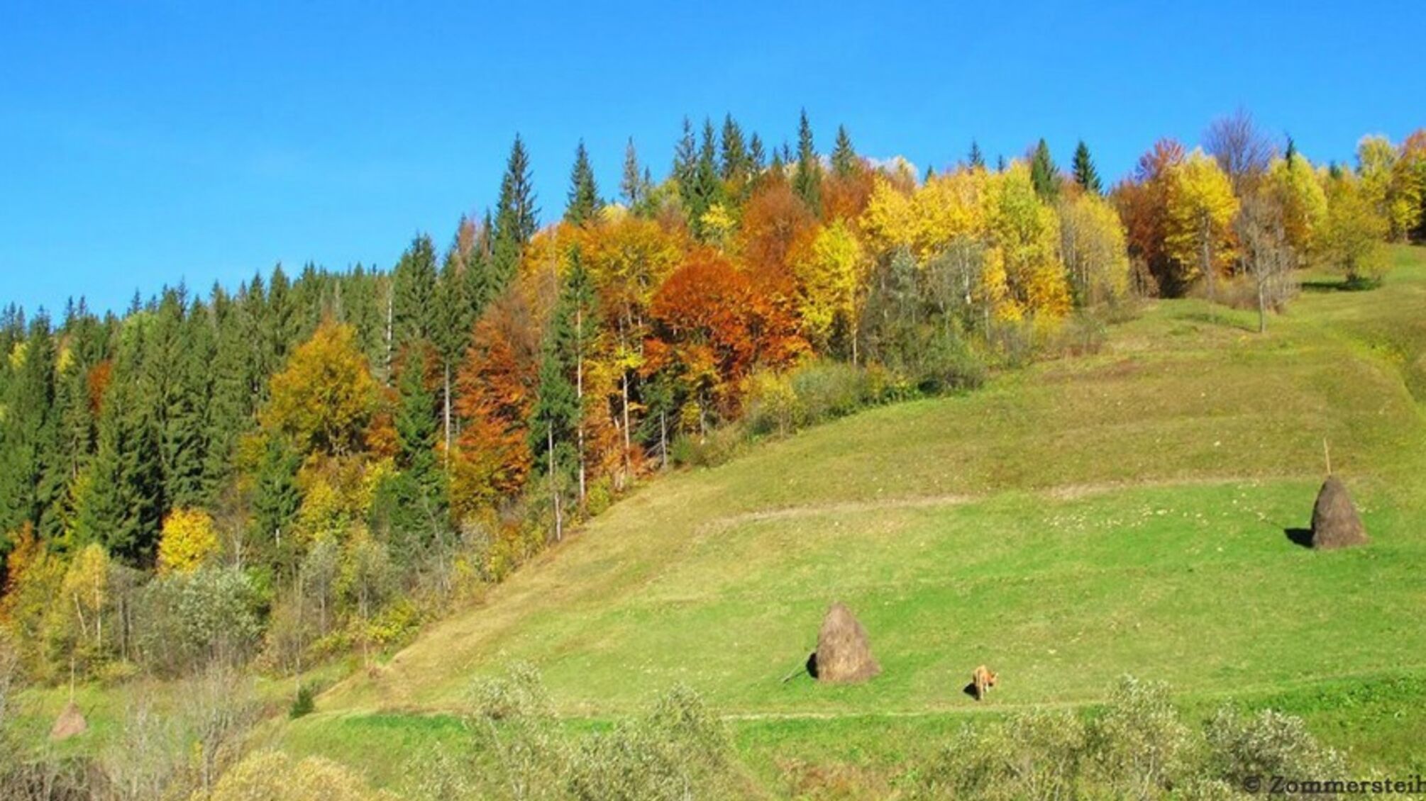 В Україні пік 'весняної' аномалії: температура буде як у квітні