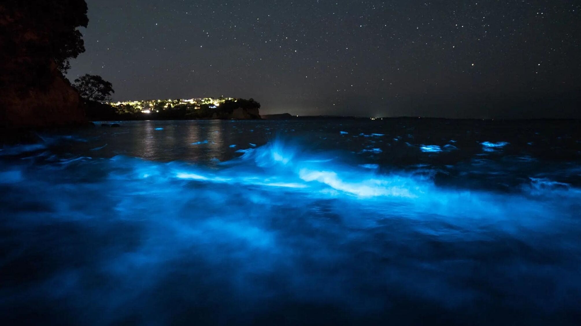 Одеса вночі: море світиться завдяки біолюмінесценції планктону