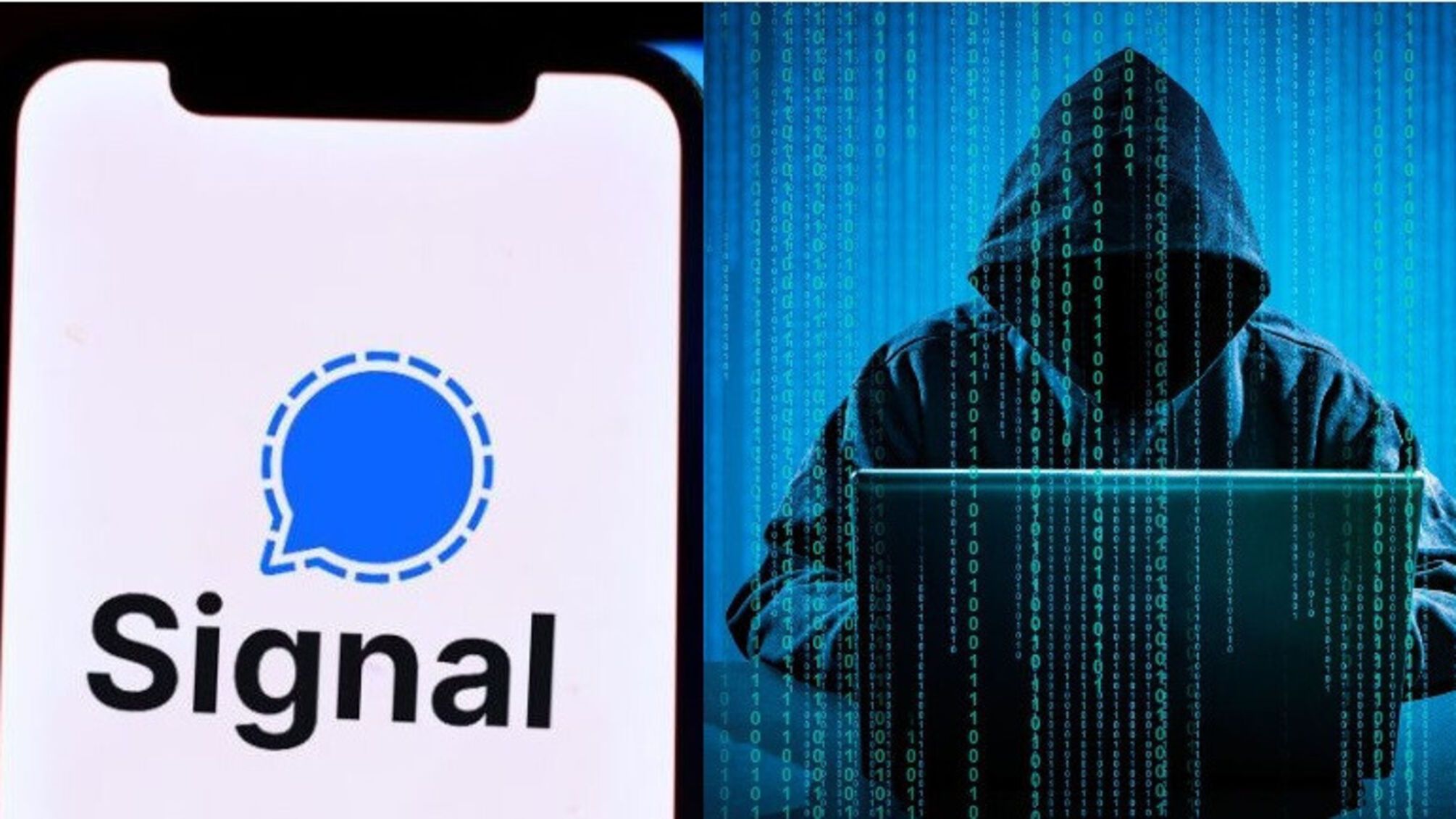 свободные источники