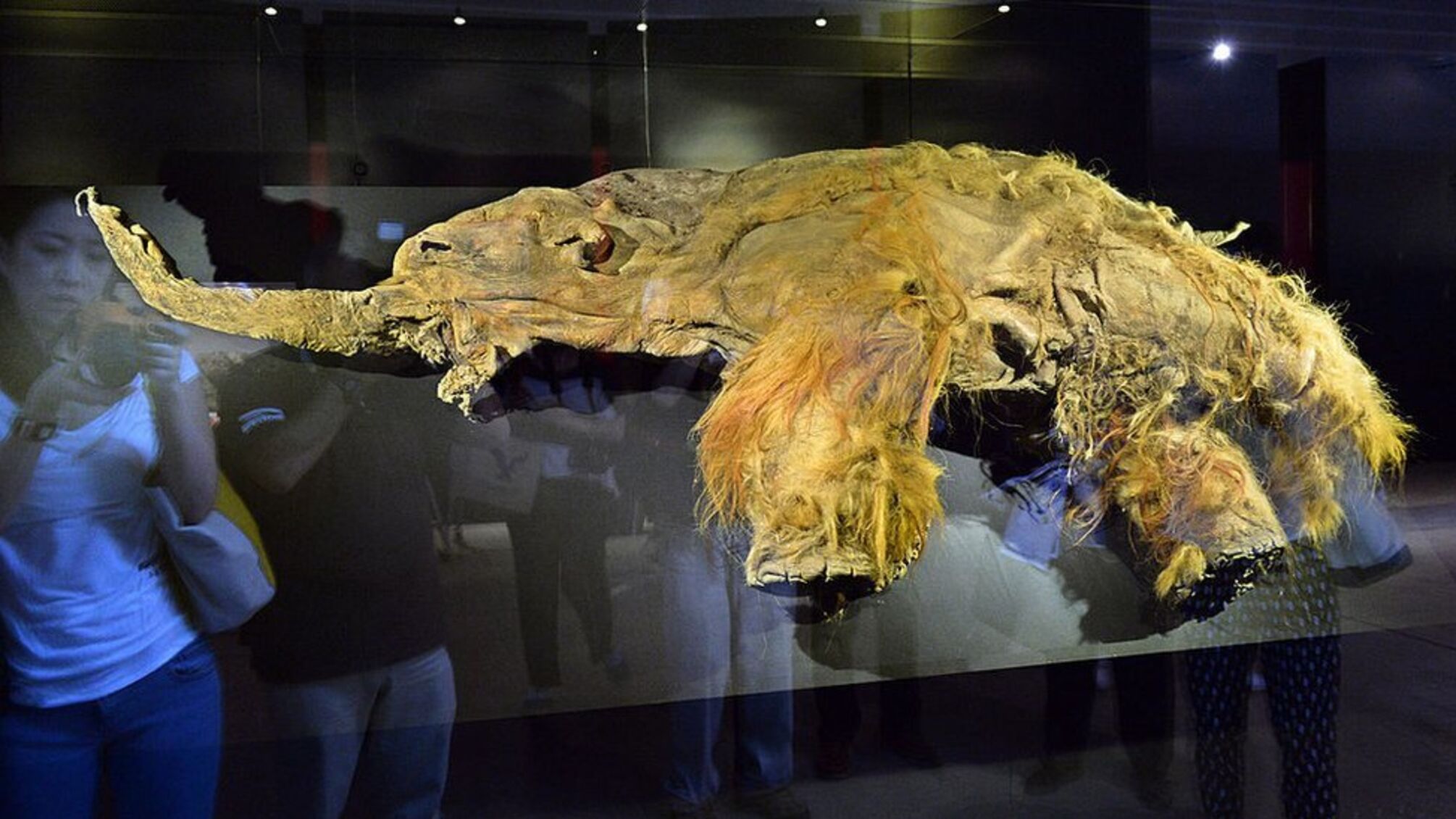 Возрождение вымерших видов чревато природе серьезными последствиями