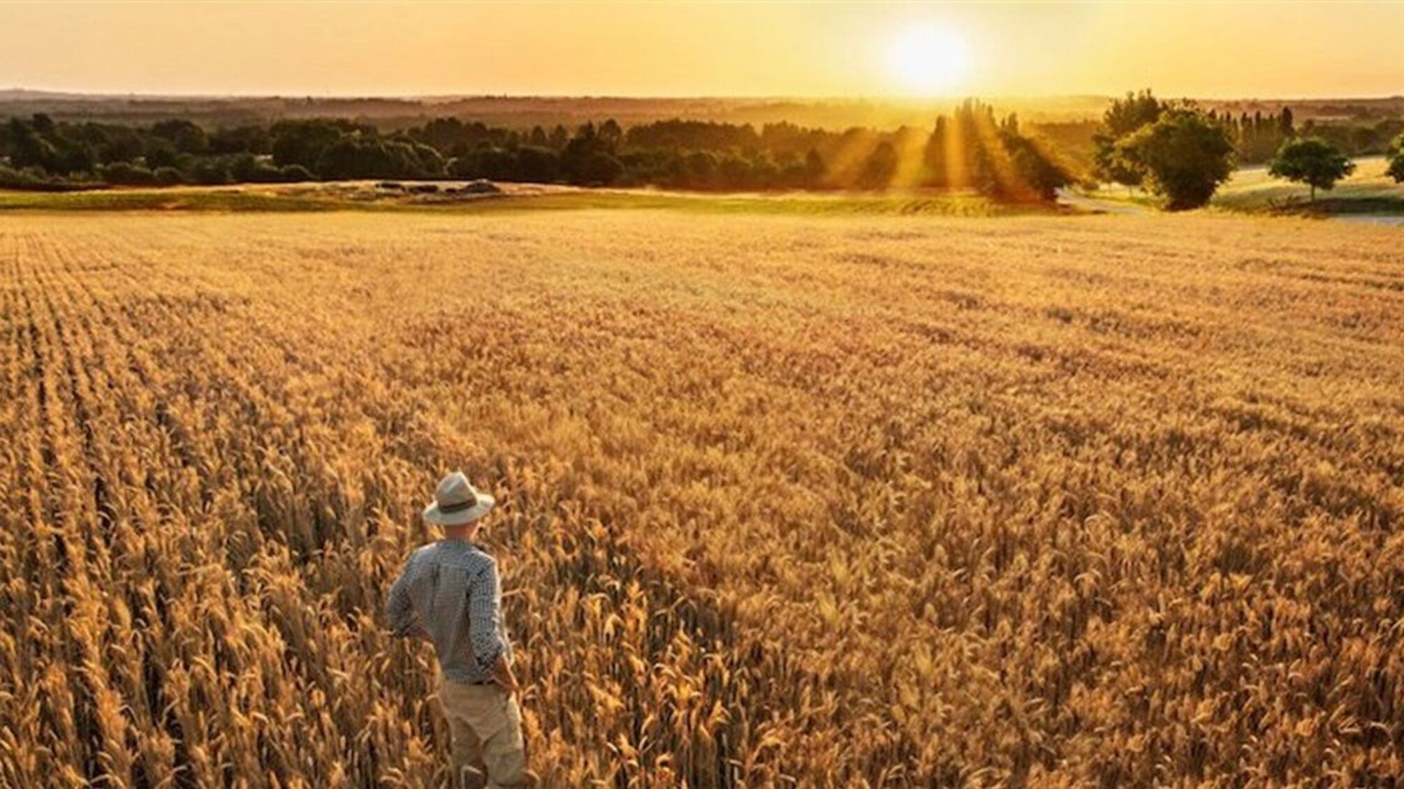 9 сентября в Украине и мире празднуют Всемирный день сельского хозяйства