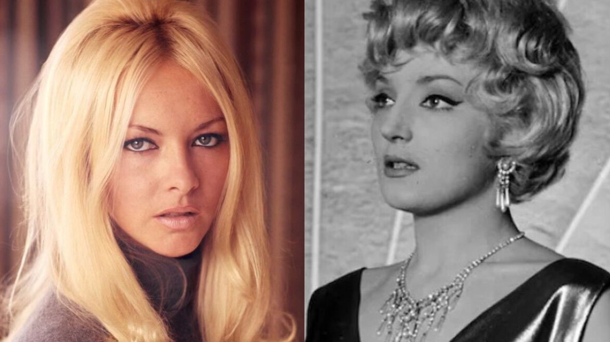 Вместо Барбары Рыльской похоронили Барбару Брыльскую: курьезная ошибка СМИ