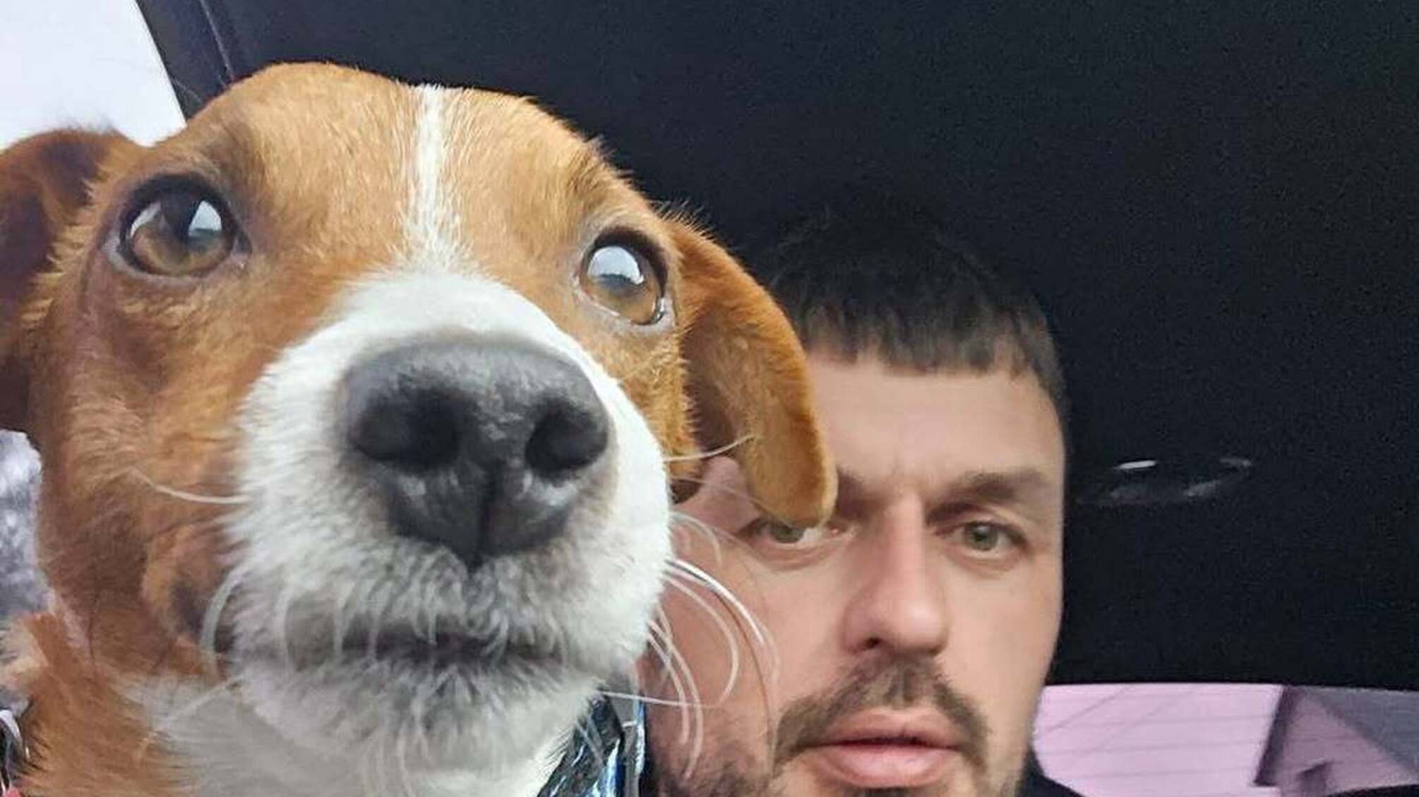 Пес Патрон рассказал о своих буднях вдали от дома