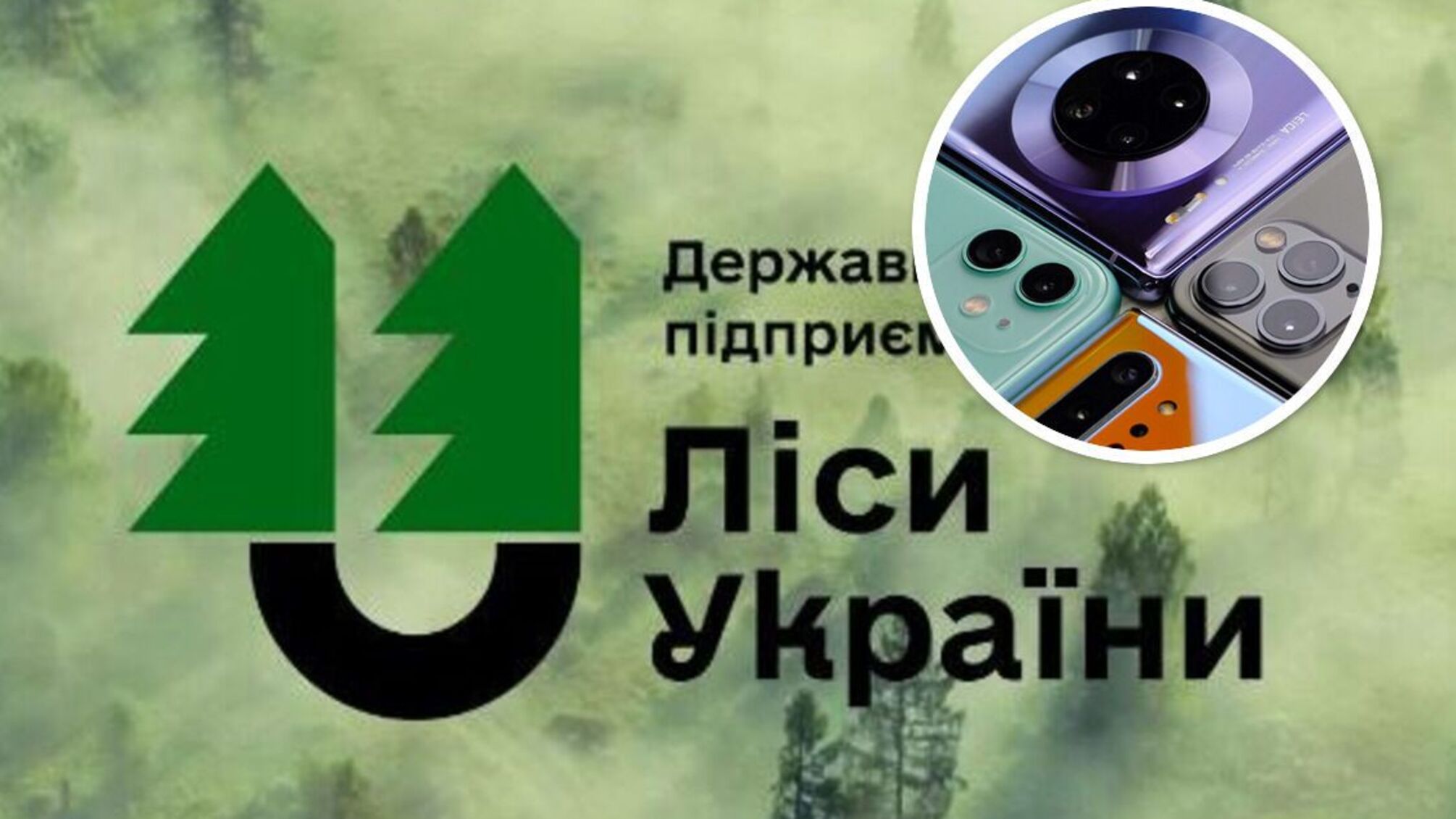 тендери
