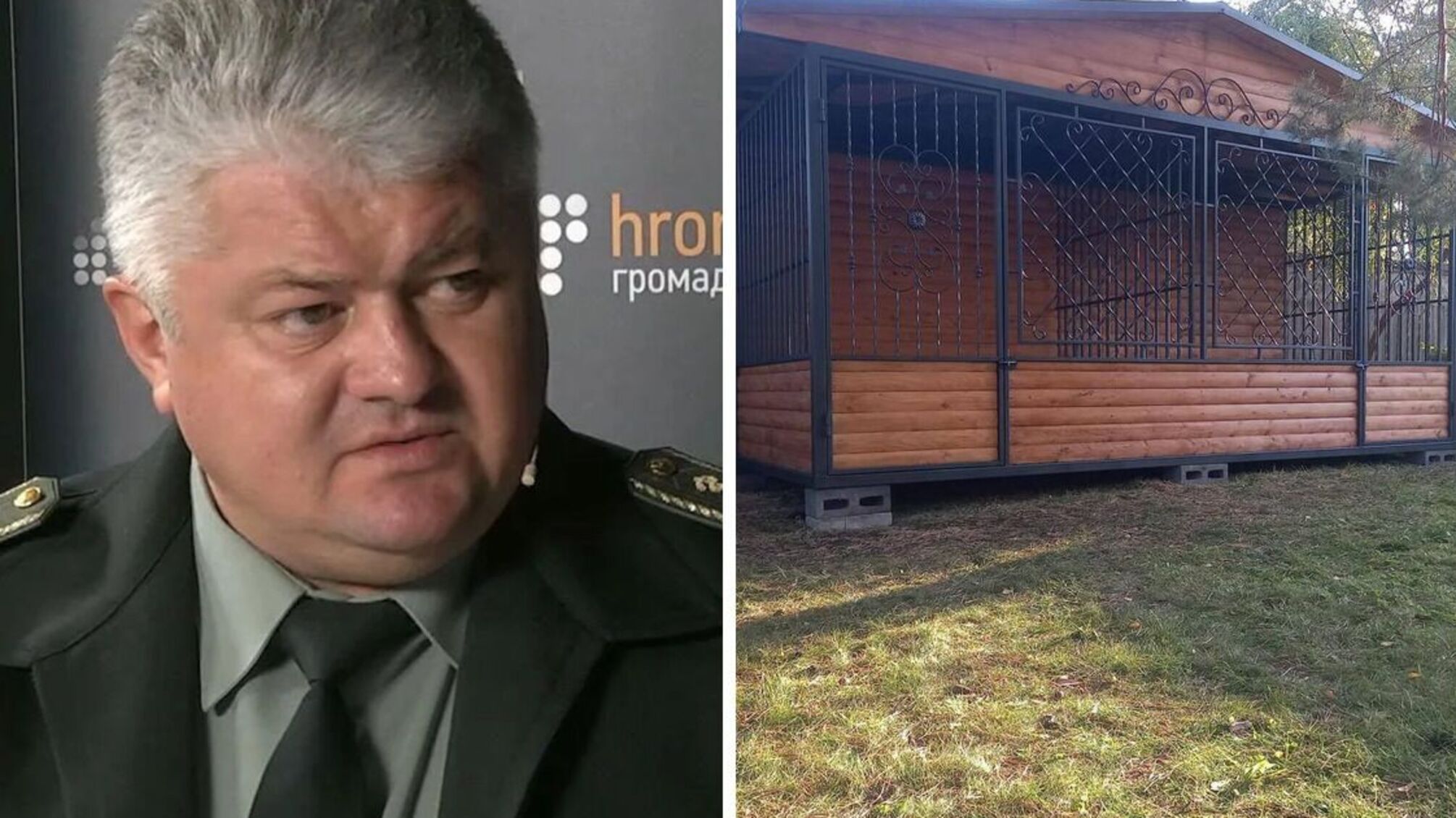 Психиатр-миллионер Друзь и вольер для собак за 300 тысяч