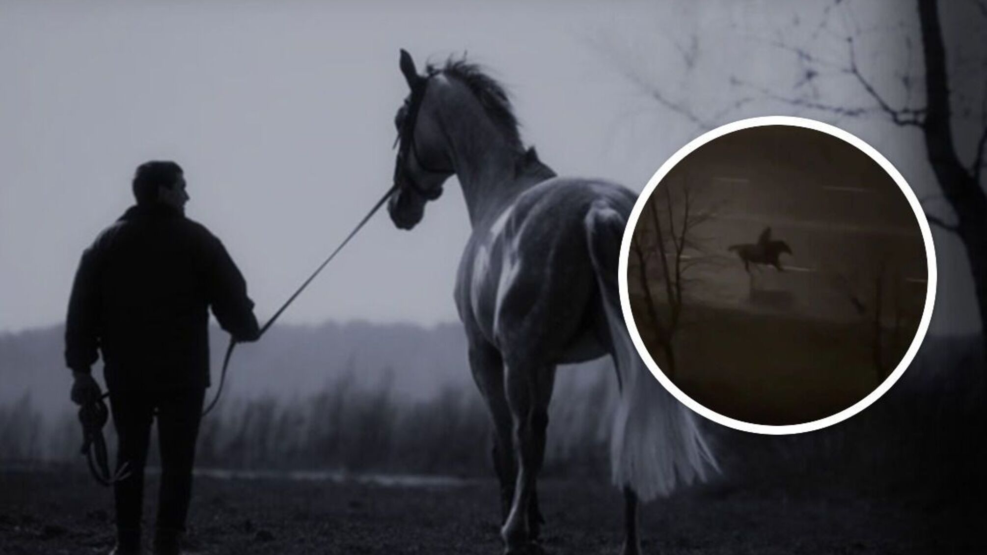 Ночная погоня в Нетешине: полиция пыталась остановить всадника на коне