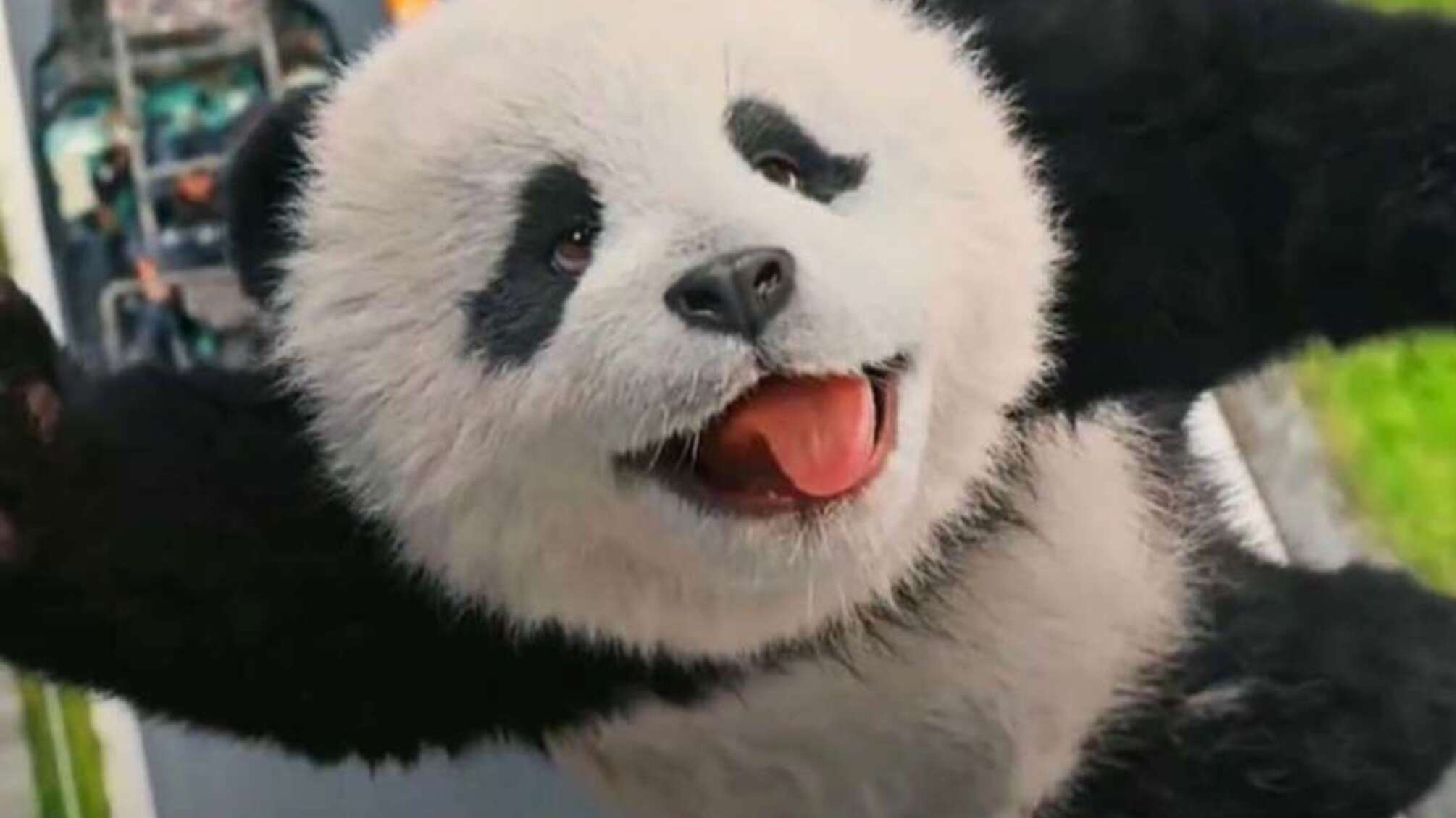 Приключения, юмор и боевые сцены: Джеки Чан в фильме 'Панда патруль'