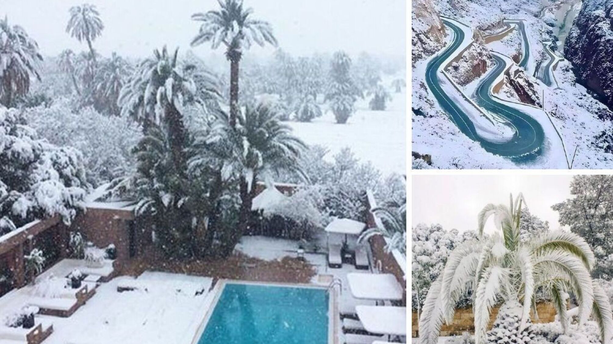 Зимняя экзотика Марокко: снег покрывает пальмовые рощи и горнолыжные курорты
