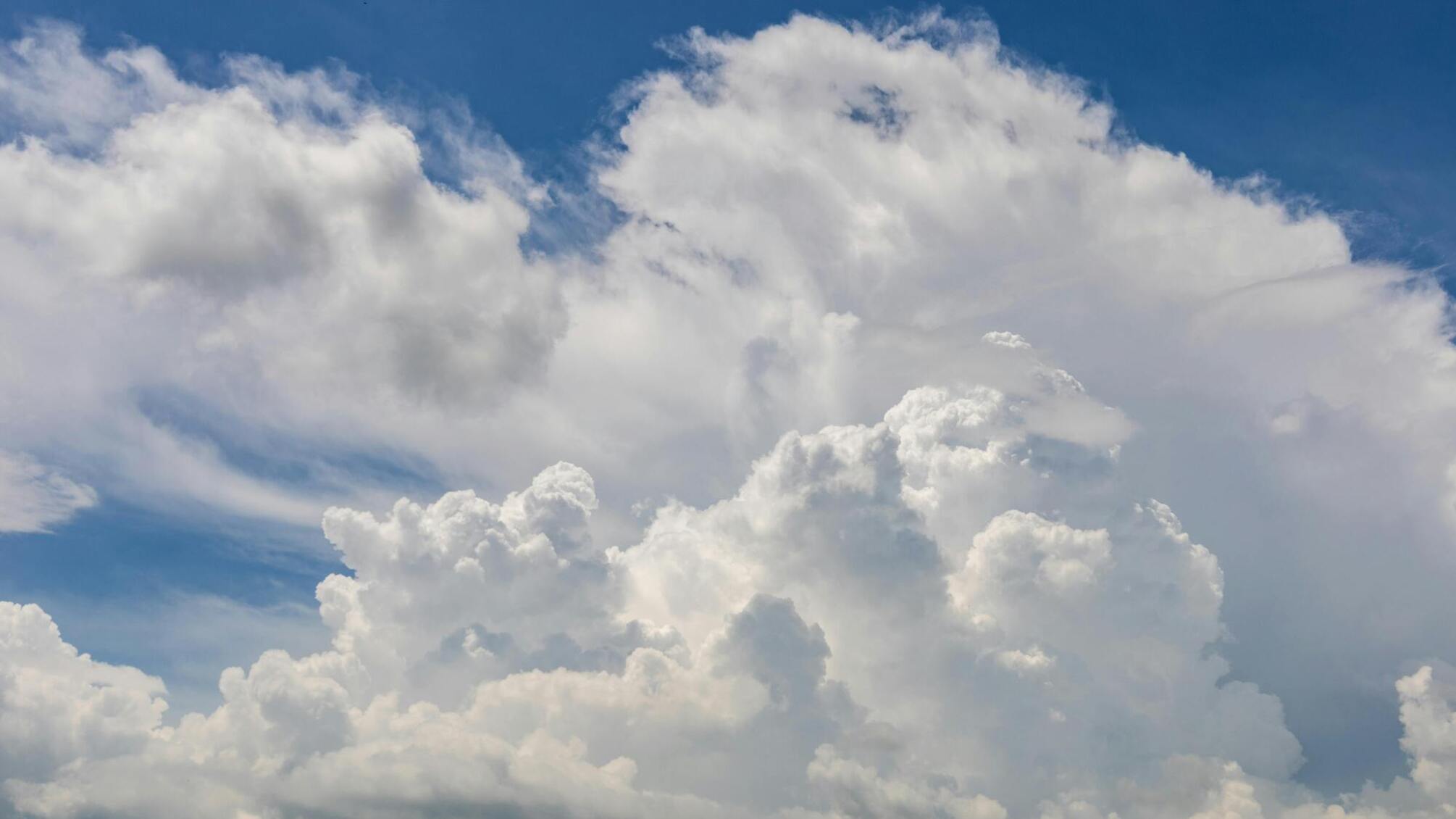 Весеннее тепло в начале года