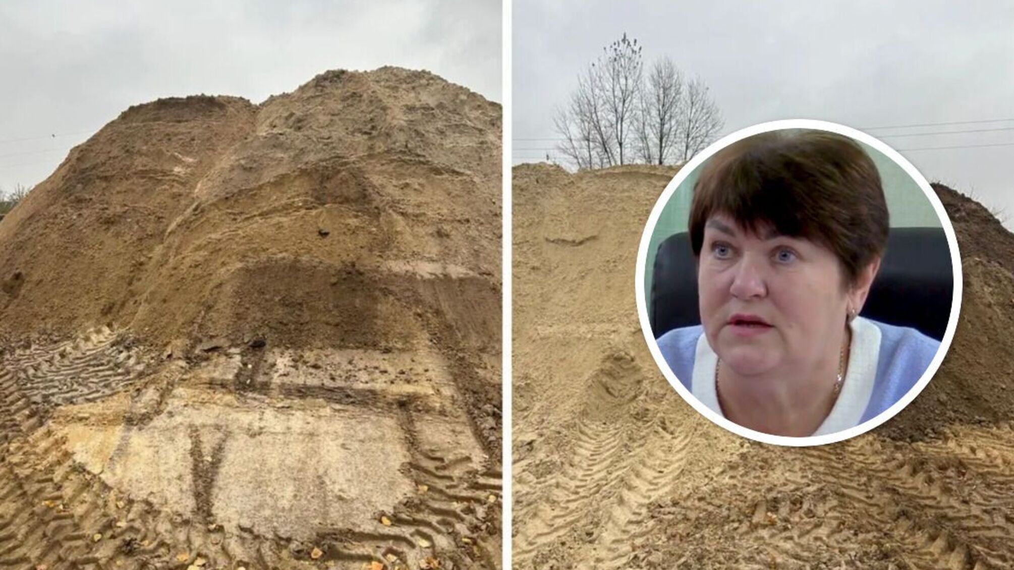 Чиновница с Харьковщины Кривенко прокомментировала закупку ископаемых у нелегала Кучка