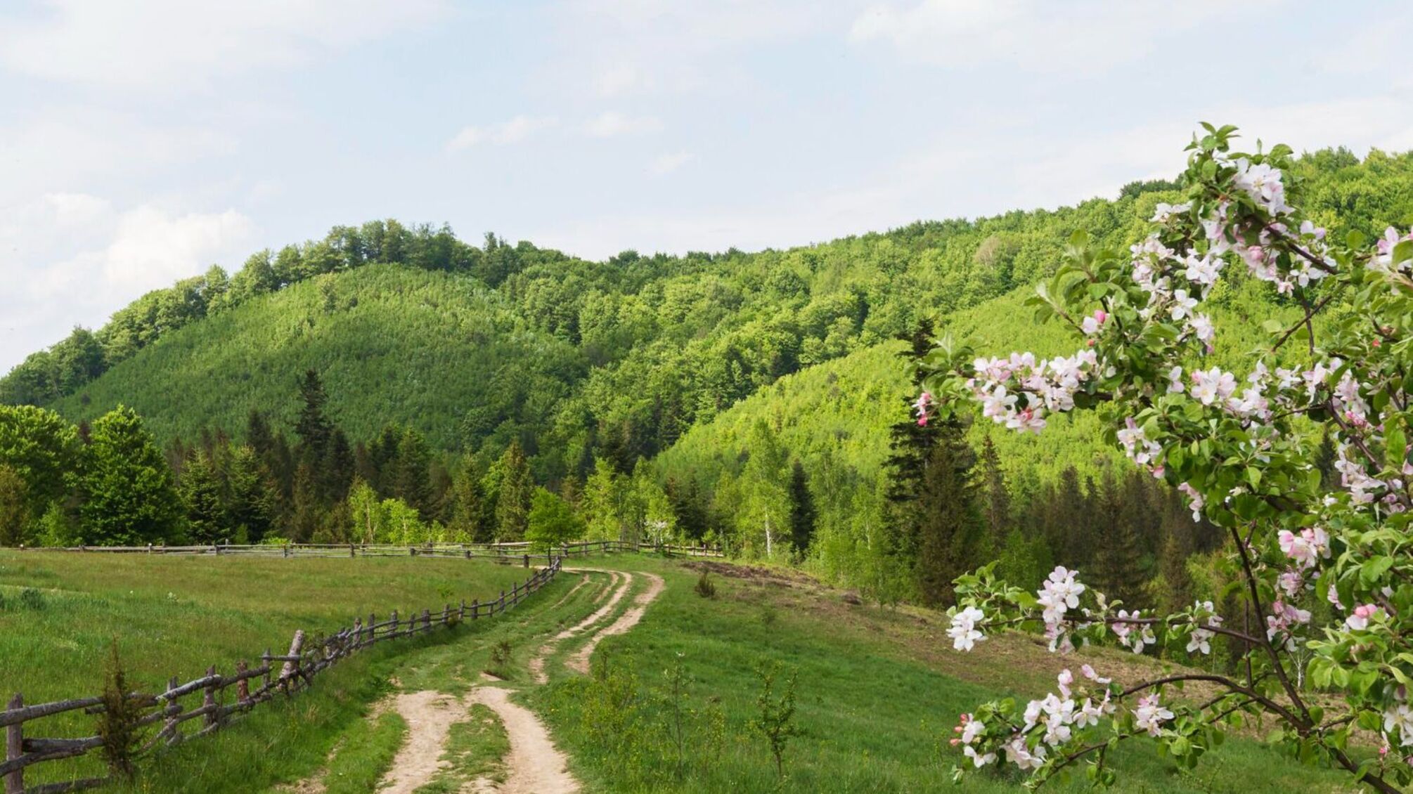 Іменини 13 жовтня: кого вітати з днем янгола