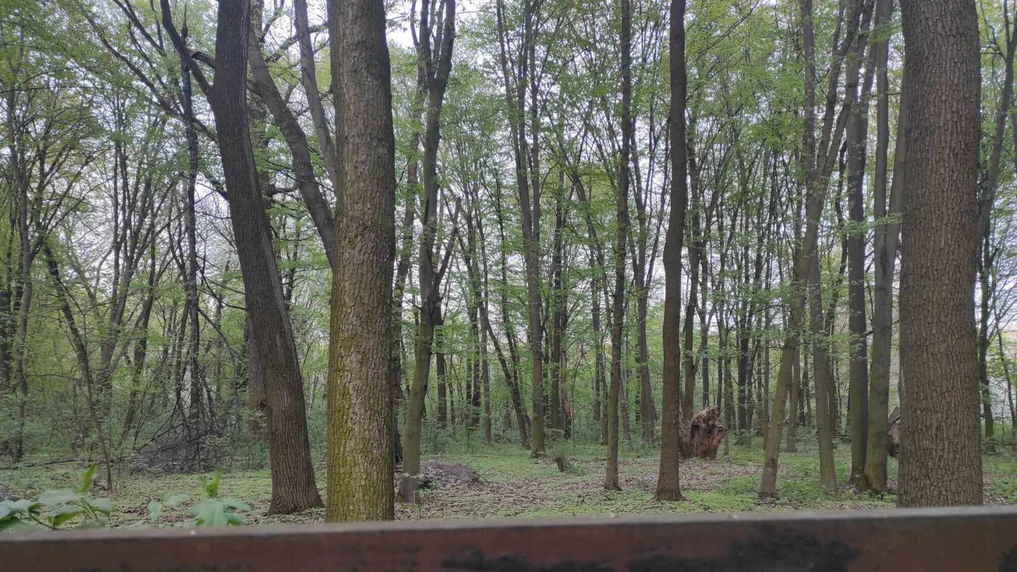 Судові баталії за Теремківське урочище