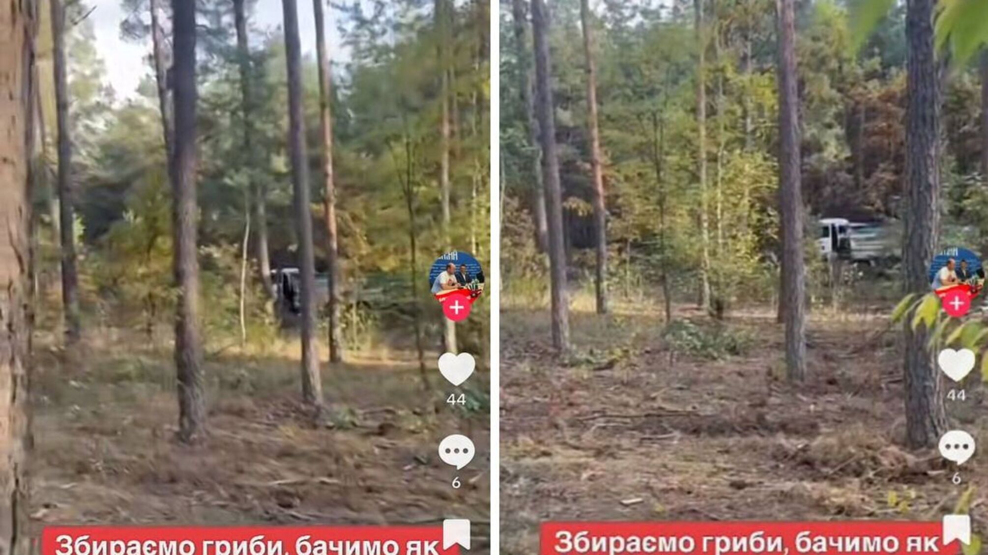 Пісок з нелегальної копальні Самофала возять на об’єкт у Путрівці