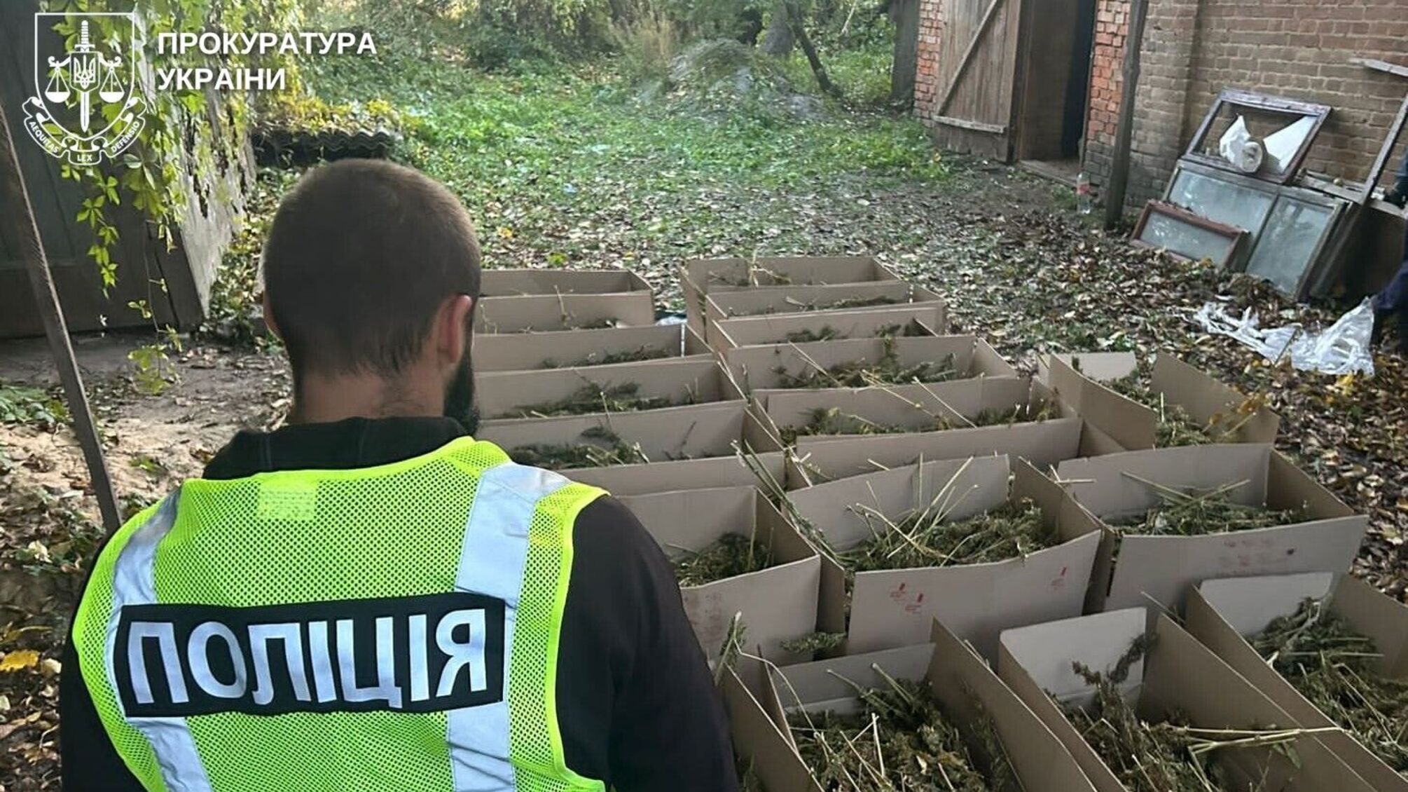 На Рівненщині виявили склад із 200 кілограмами канабісу: двоє чоловіків потрапили під слідство