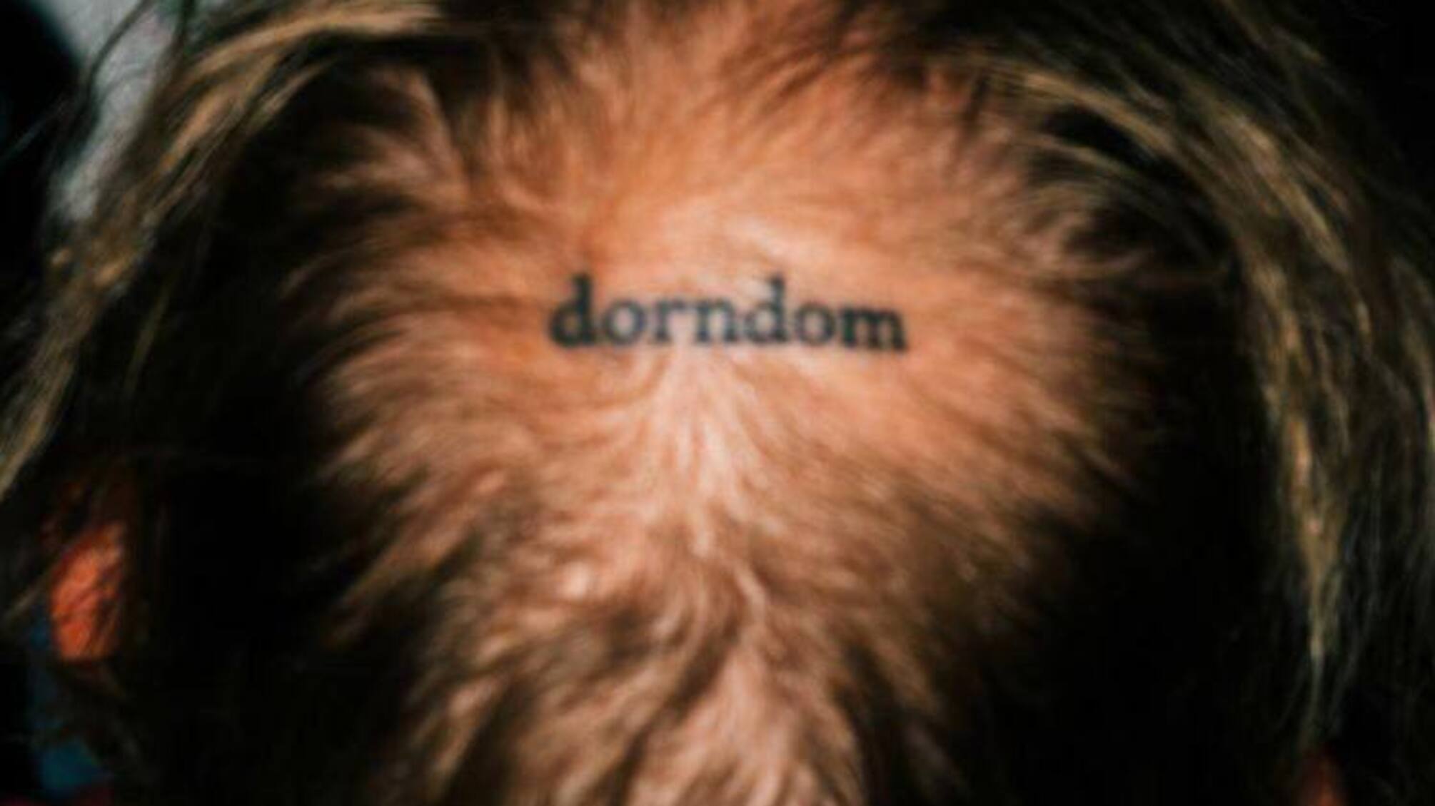 Иван Дорн выпустил первый за 8 лет студийный альбом 'dorndom' к своему 37-летию