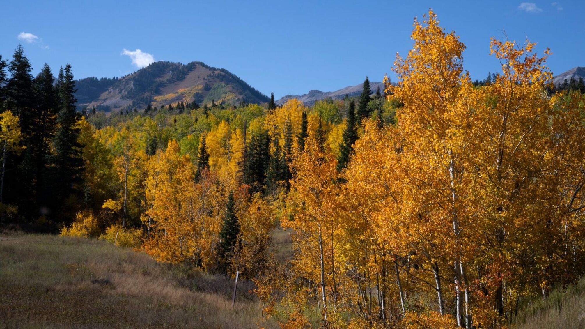 20 жовтня — день пам’яті великомученика Артемія: історія та традиції