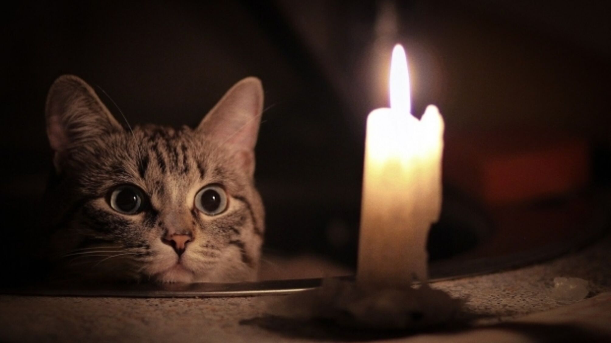 Где не будет света 24 октября: актуальные графики отключений