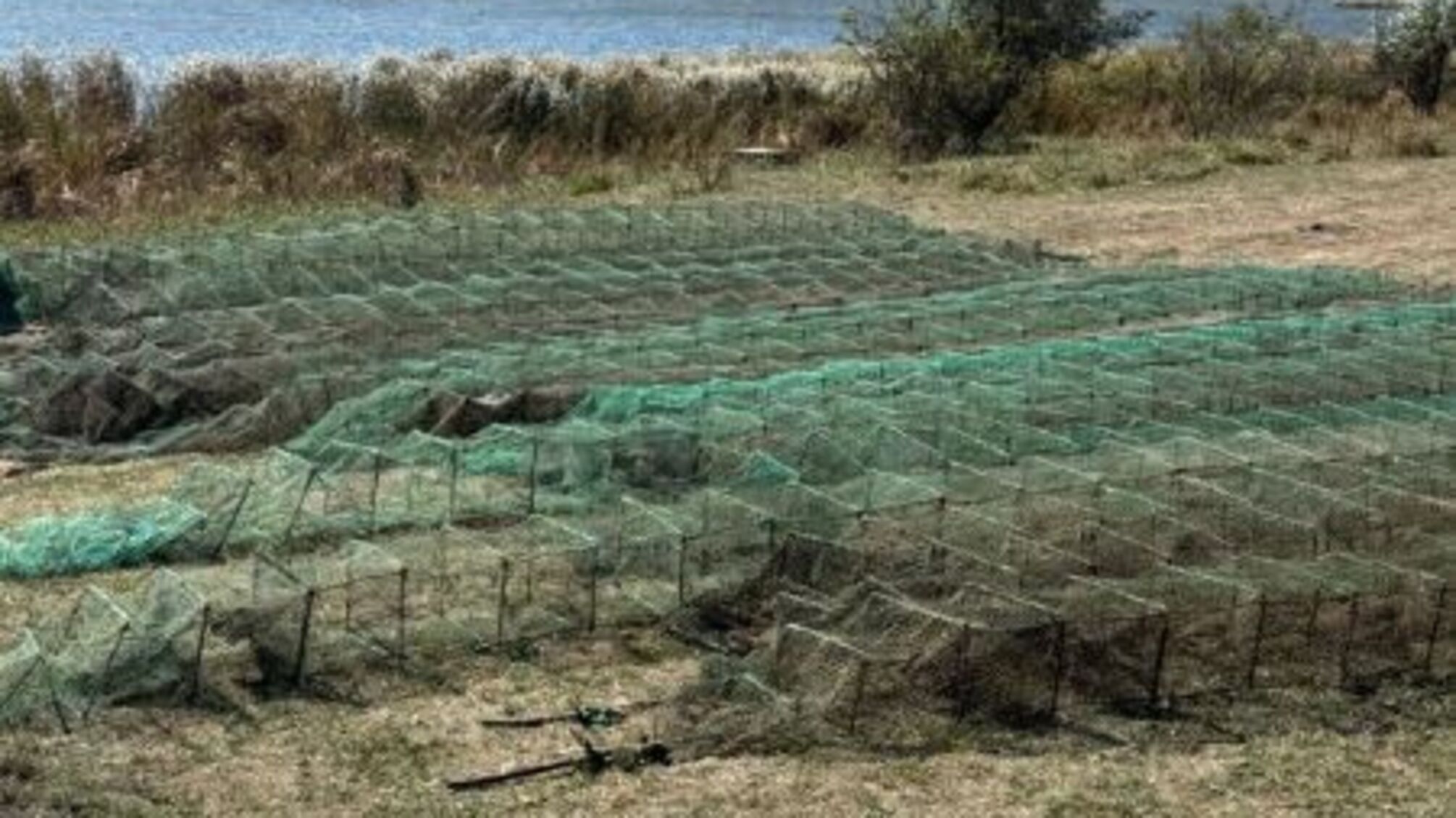 На Днепропетровщине браконьеры нанесли ущерб более чем на 9 миллионов: выловили тысячи раков и рыбы